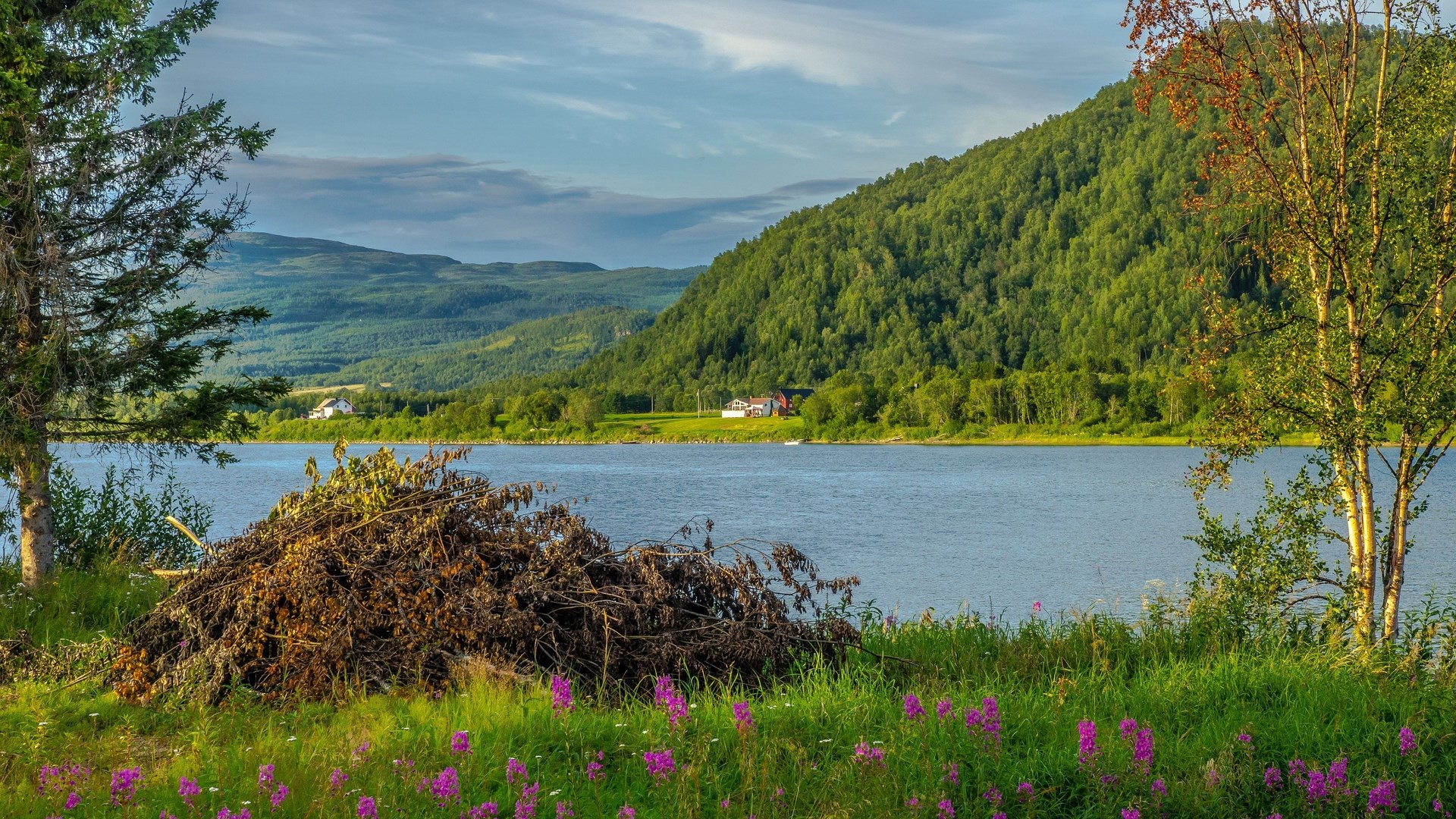 Lake and forested hills with houses and trees HD Wallpaper