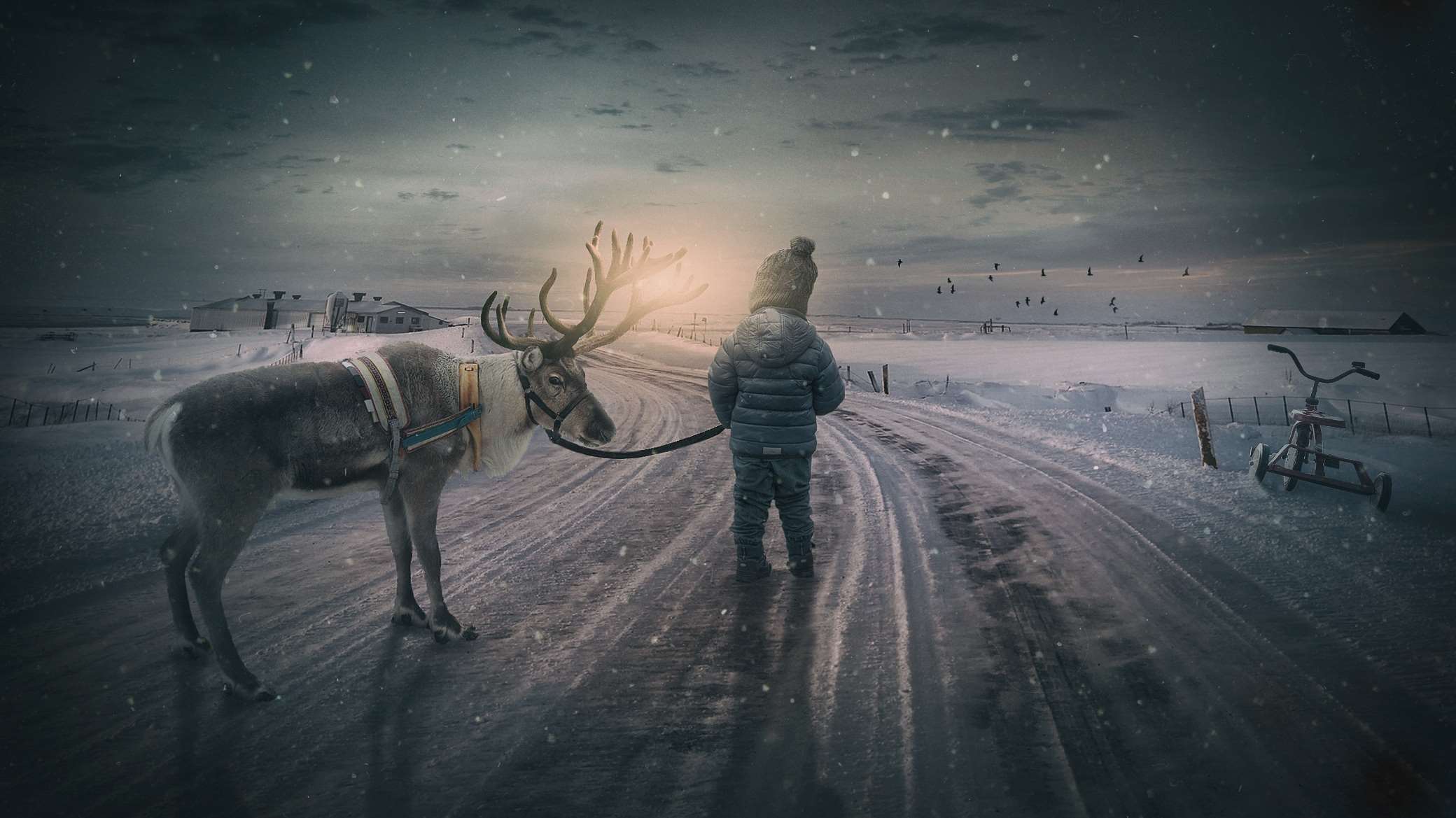 Child with reindeer on a snowy road at sunset HD Wallpaper