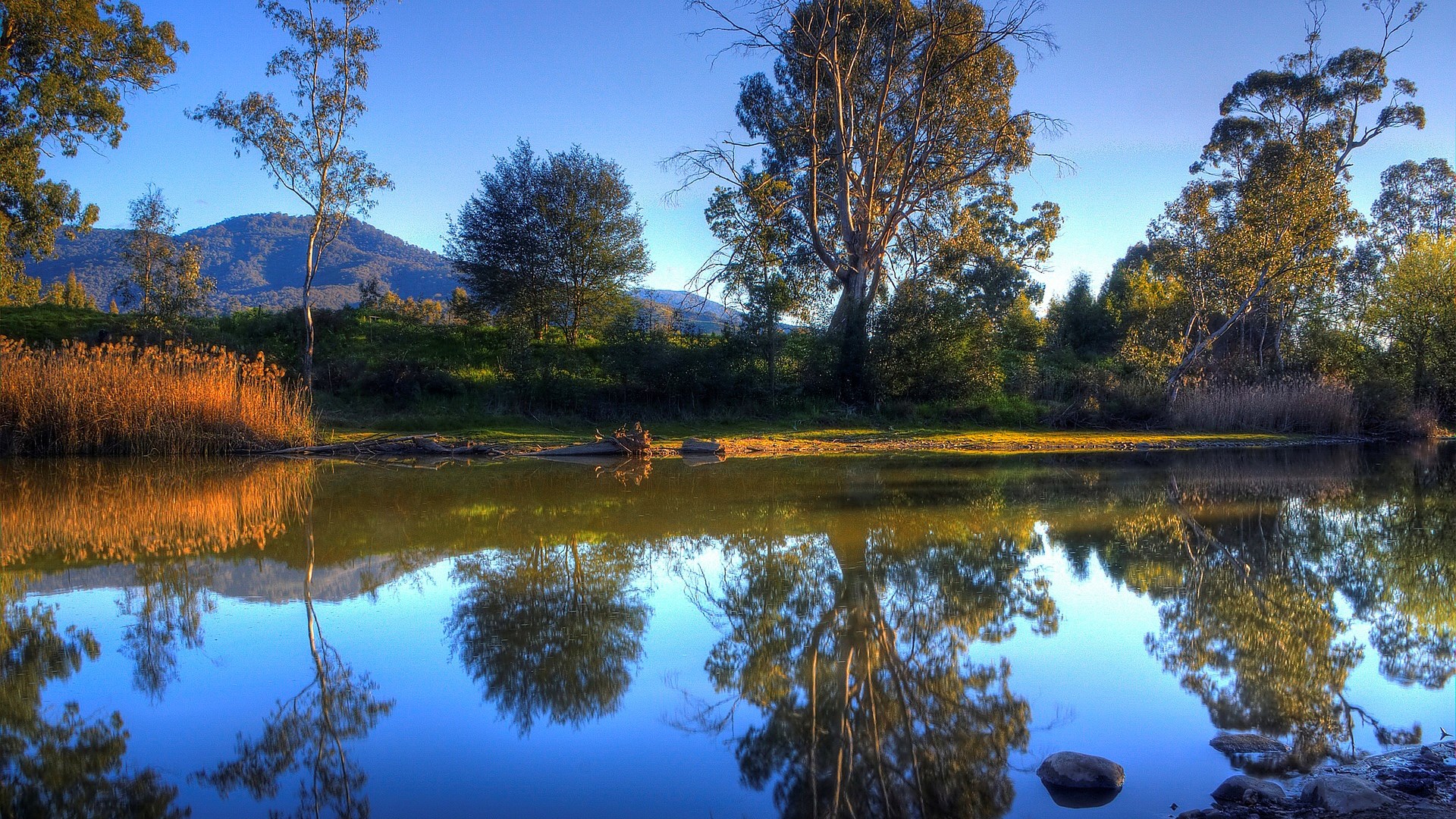 Lake reflecting trees and mountains under a blue sky HD Wallpaper