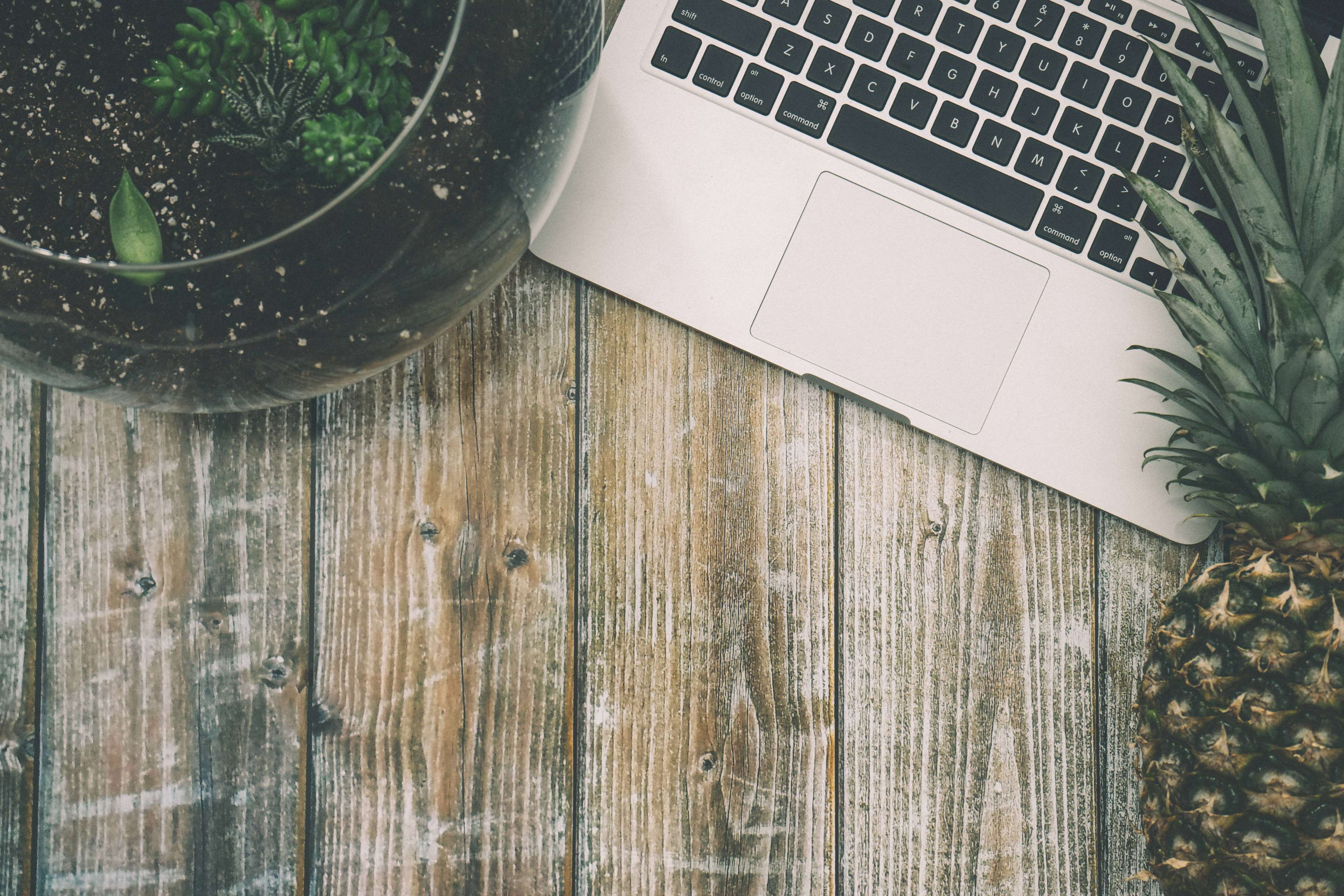 Laptop, terrarium, and pineapple on a wooden table HD Wallpaper