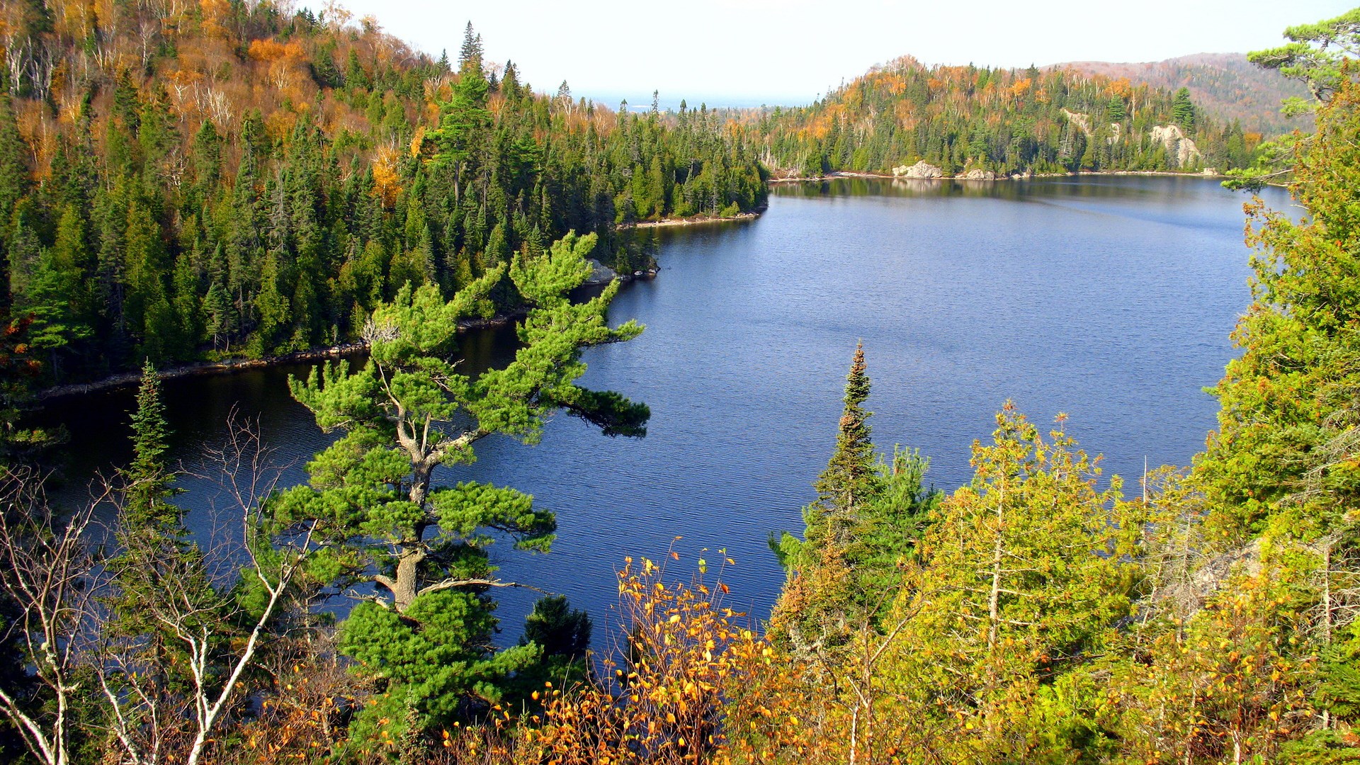 Lake surrounded by autumn forest and evergreen trees HD Wallpaper
