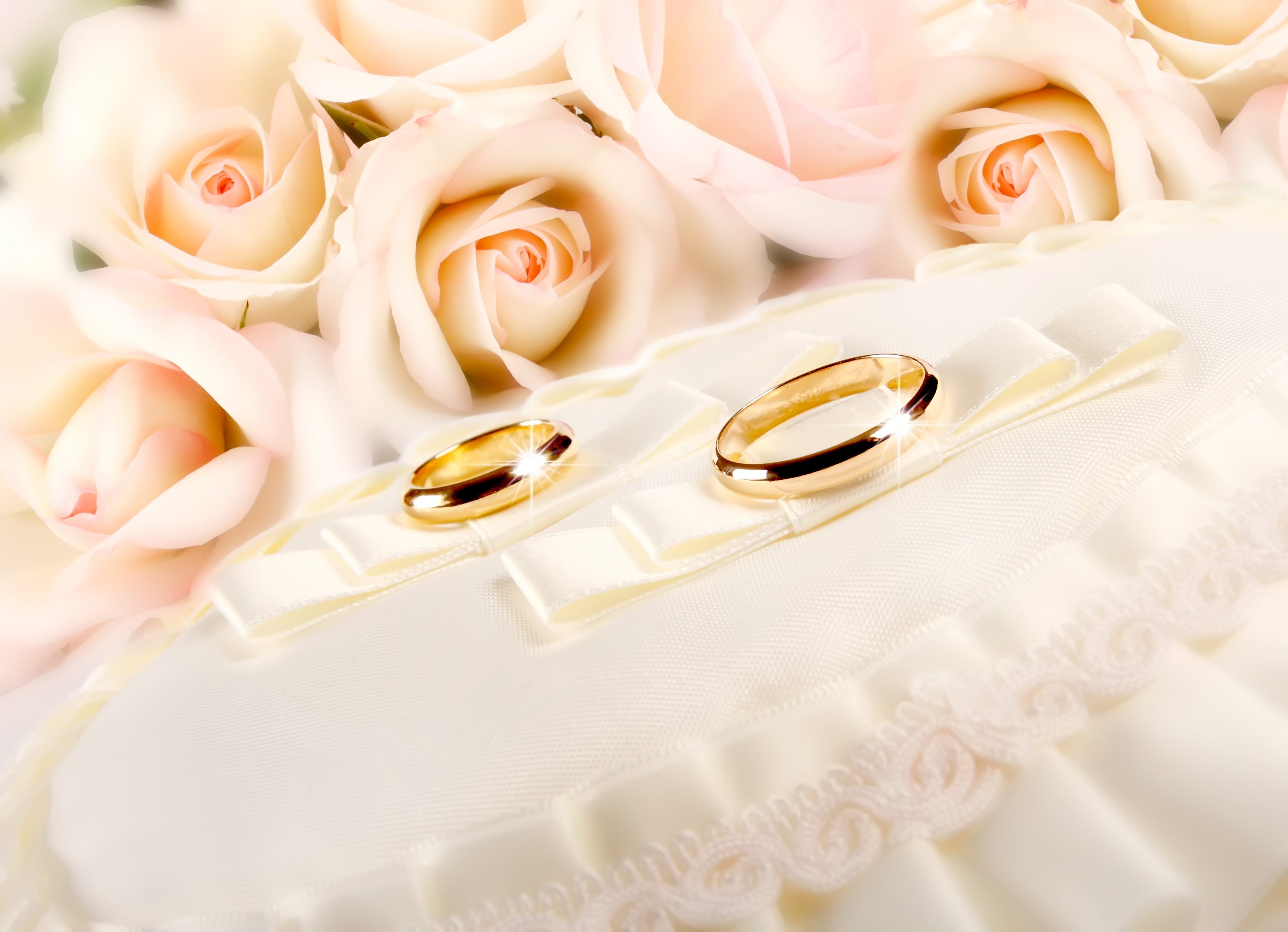 Gold wedding rings on a satin pillow with roses HD Wallpaper