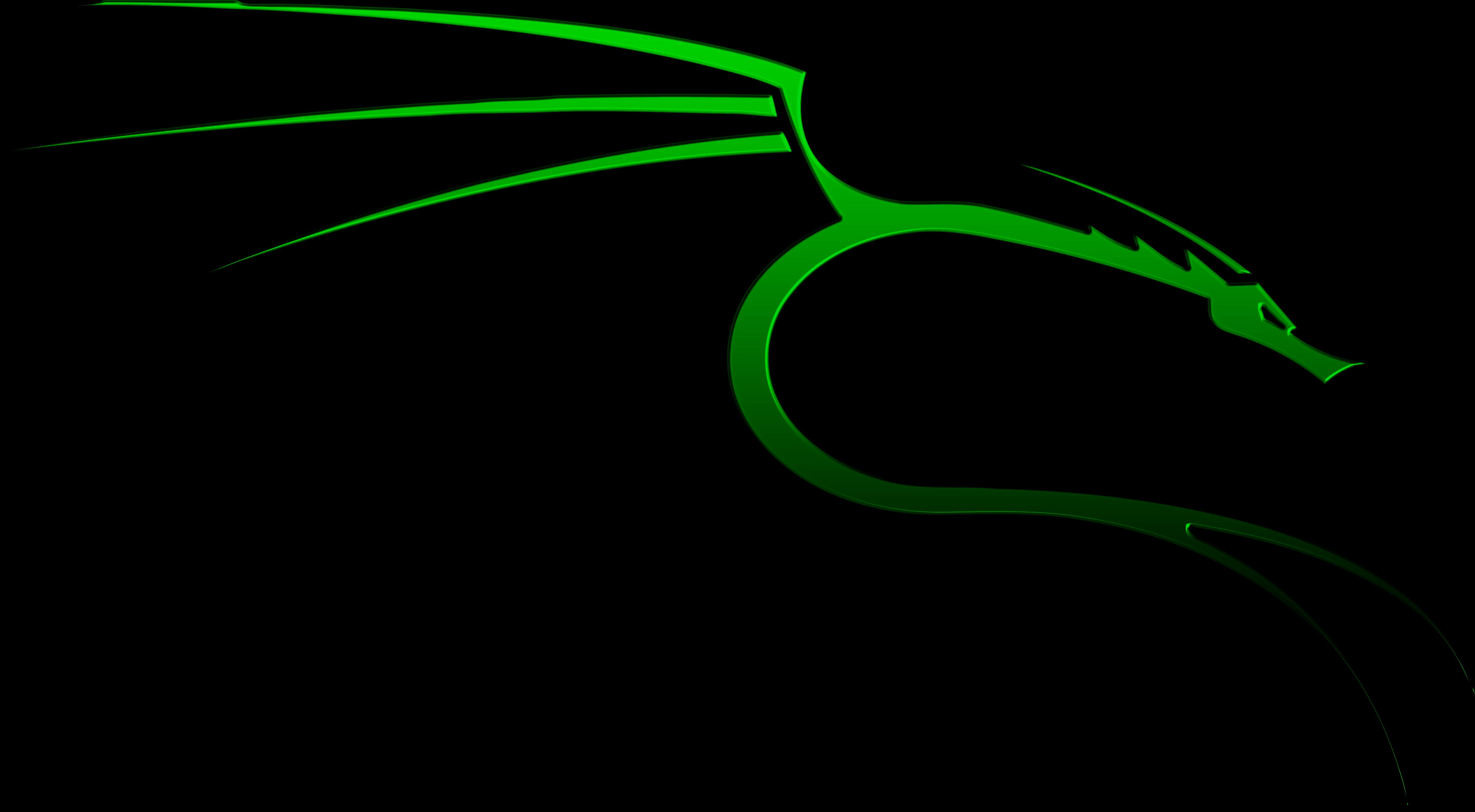 Kali Linux dragon logo HD Wallpaper