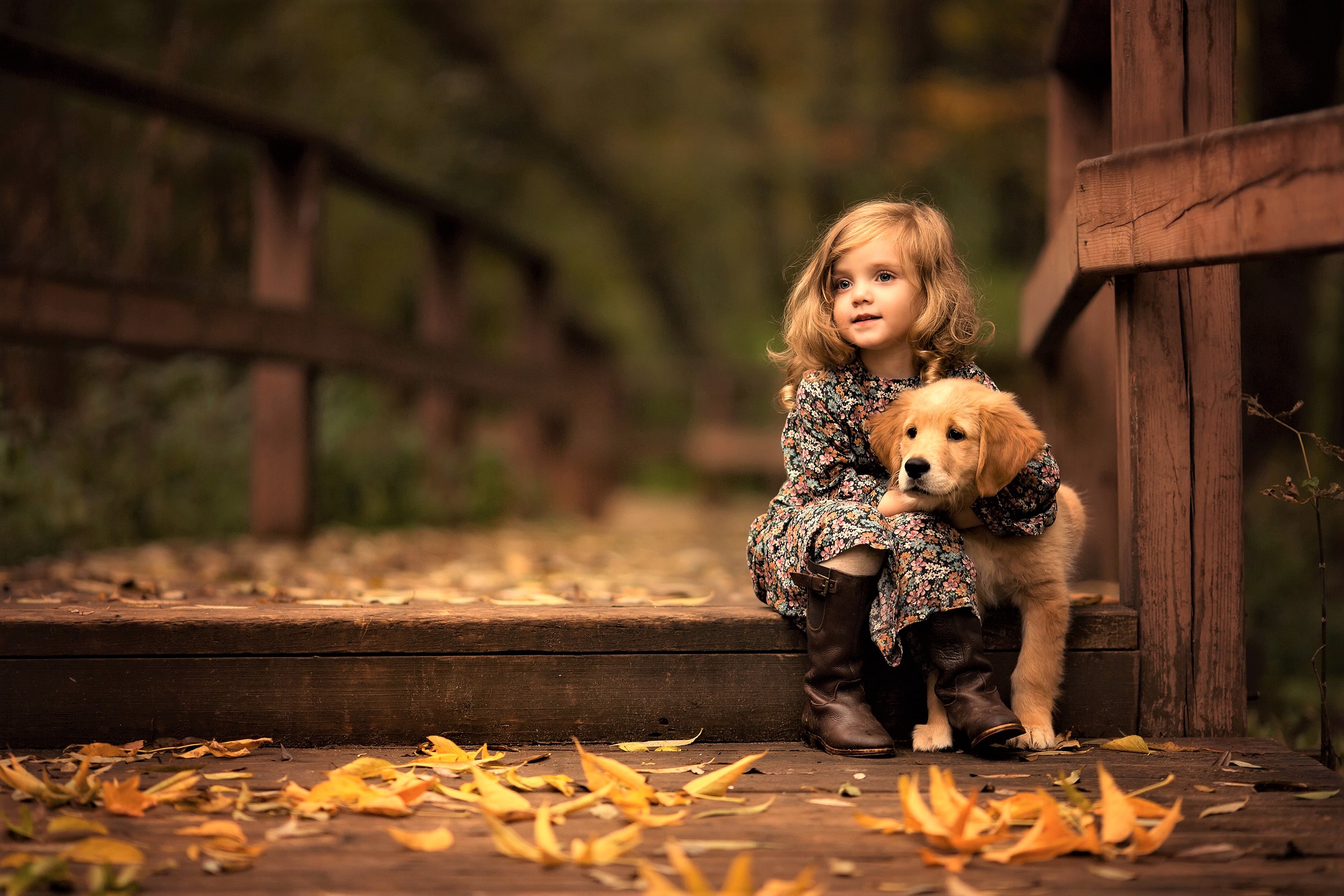 Little girl with golden retriever puppy on a wooden bridge HD Wallpaper