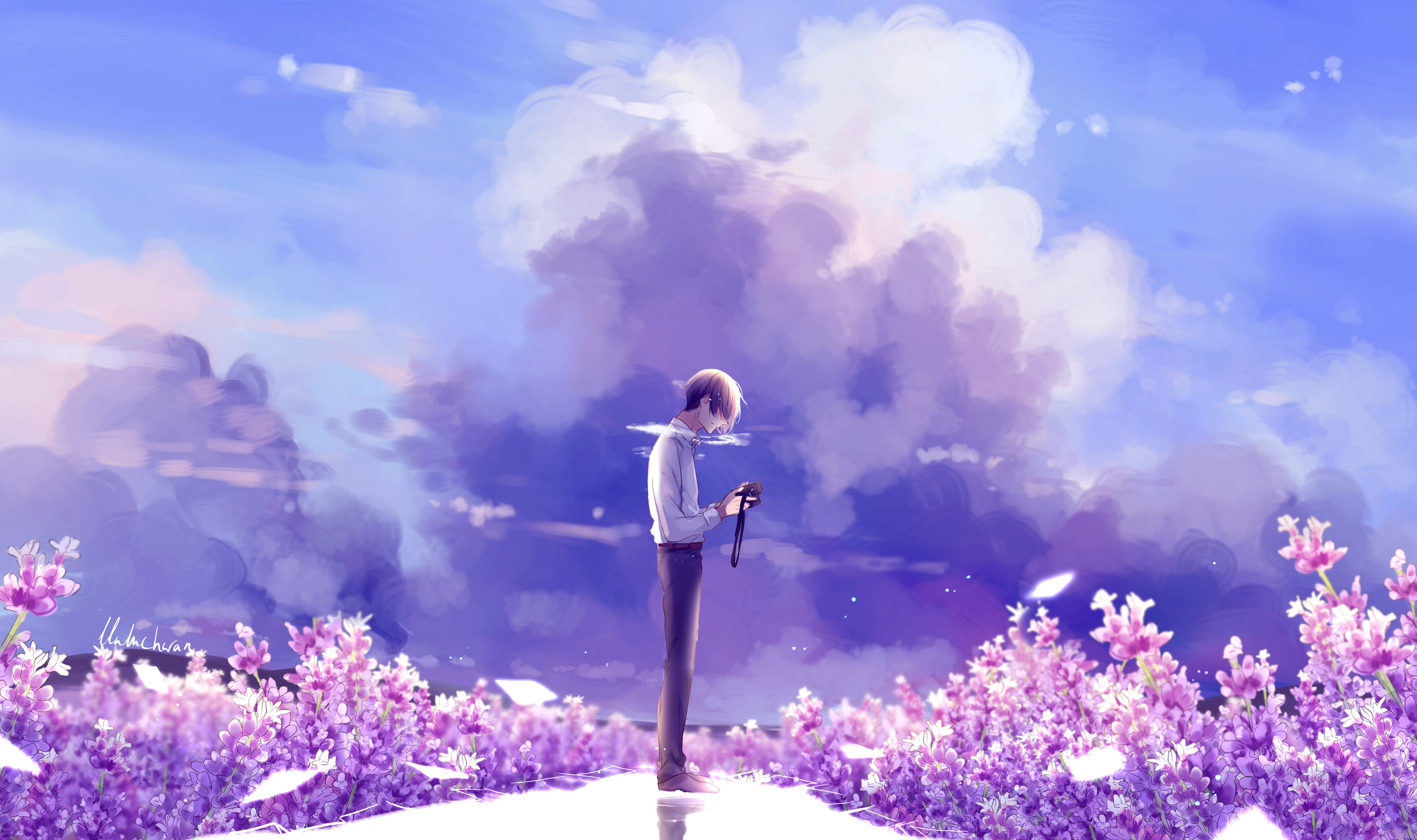 Anime boy with camera in lavender field HD Wallpaper