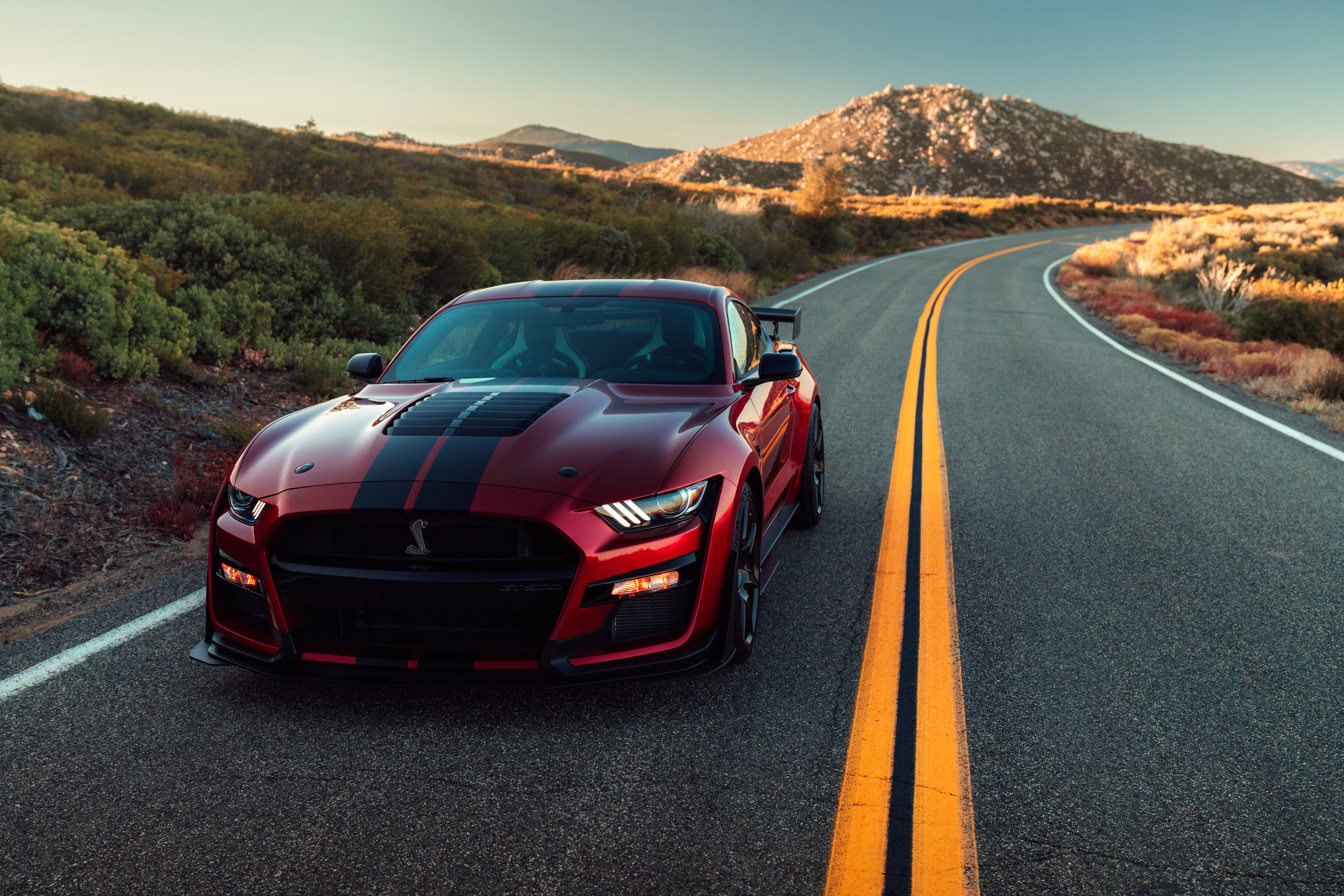 Red Ford Mustang Shelby GT500 on a winding road HD Wallpaper