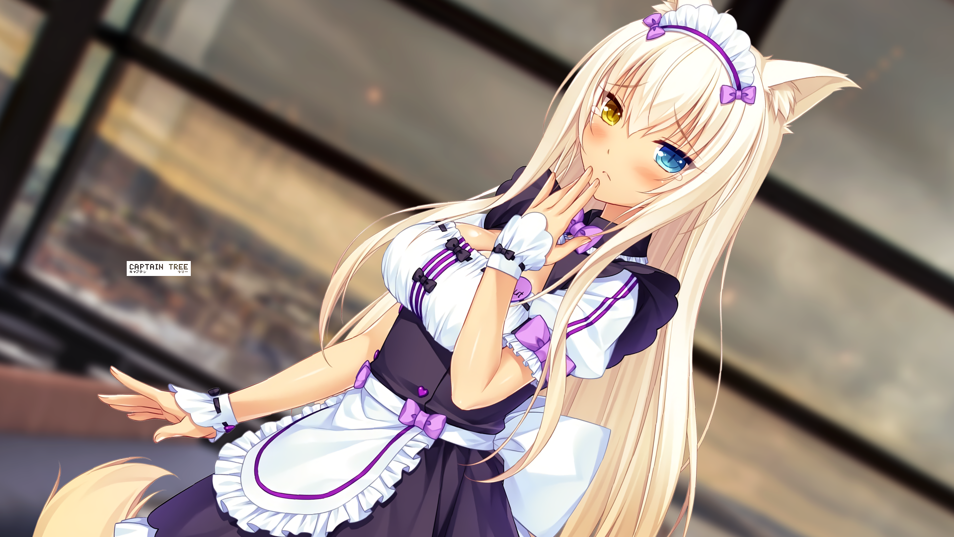Coconut From Nekopara In Maid Uniform Hd Wallpaper Rare Gallery