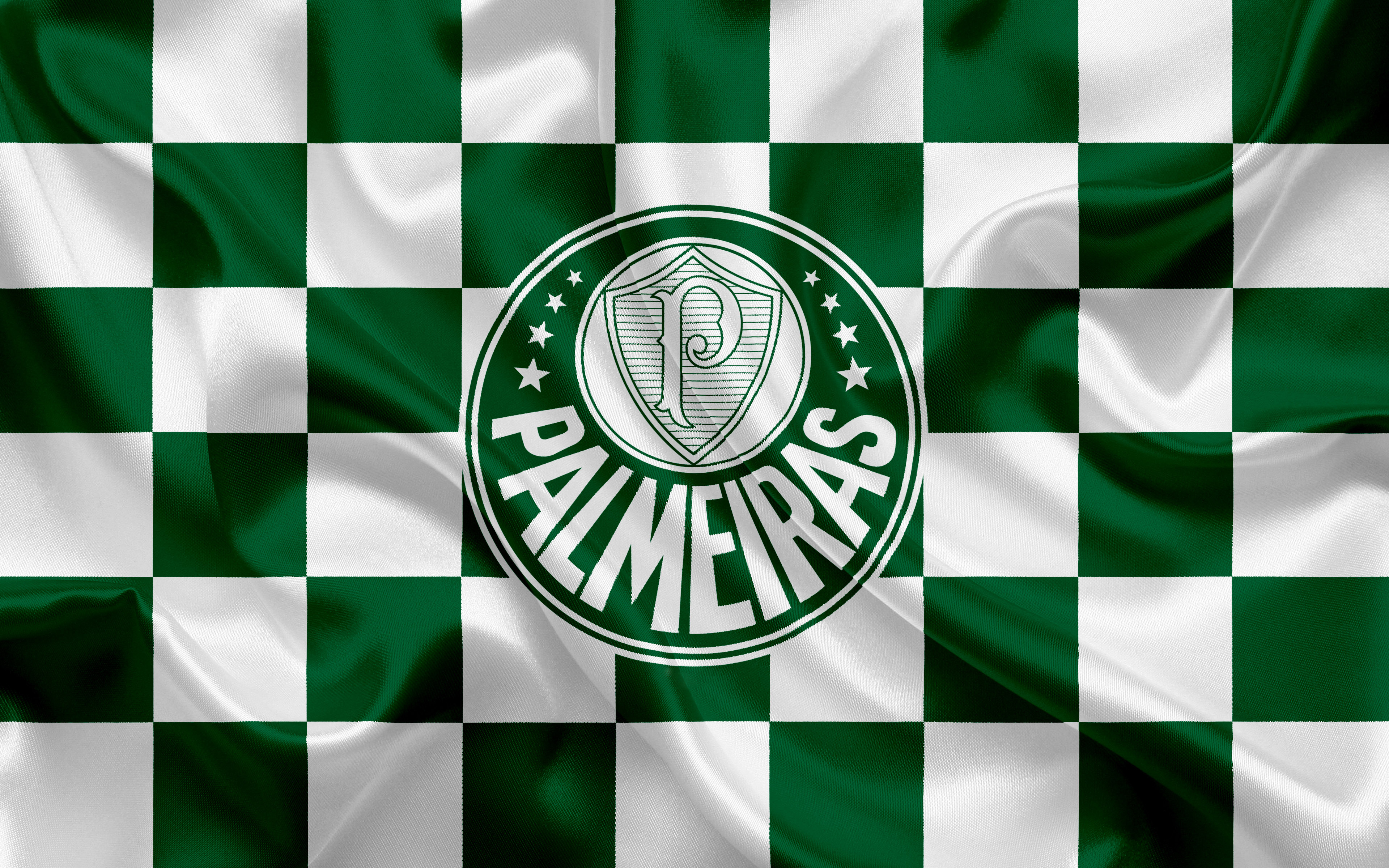 Sociedade Esportiva Palmeiras logo on checkered background HD Wallpaper
