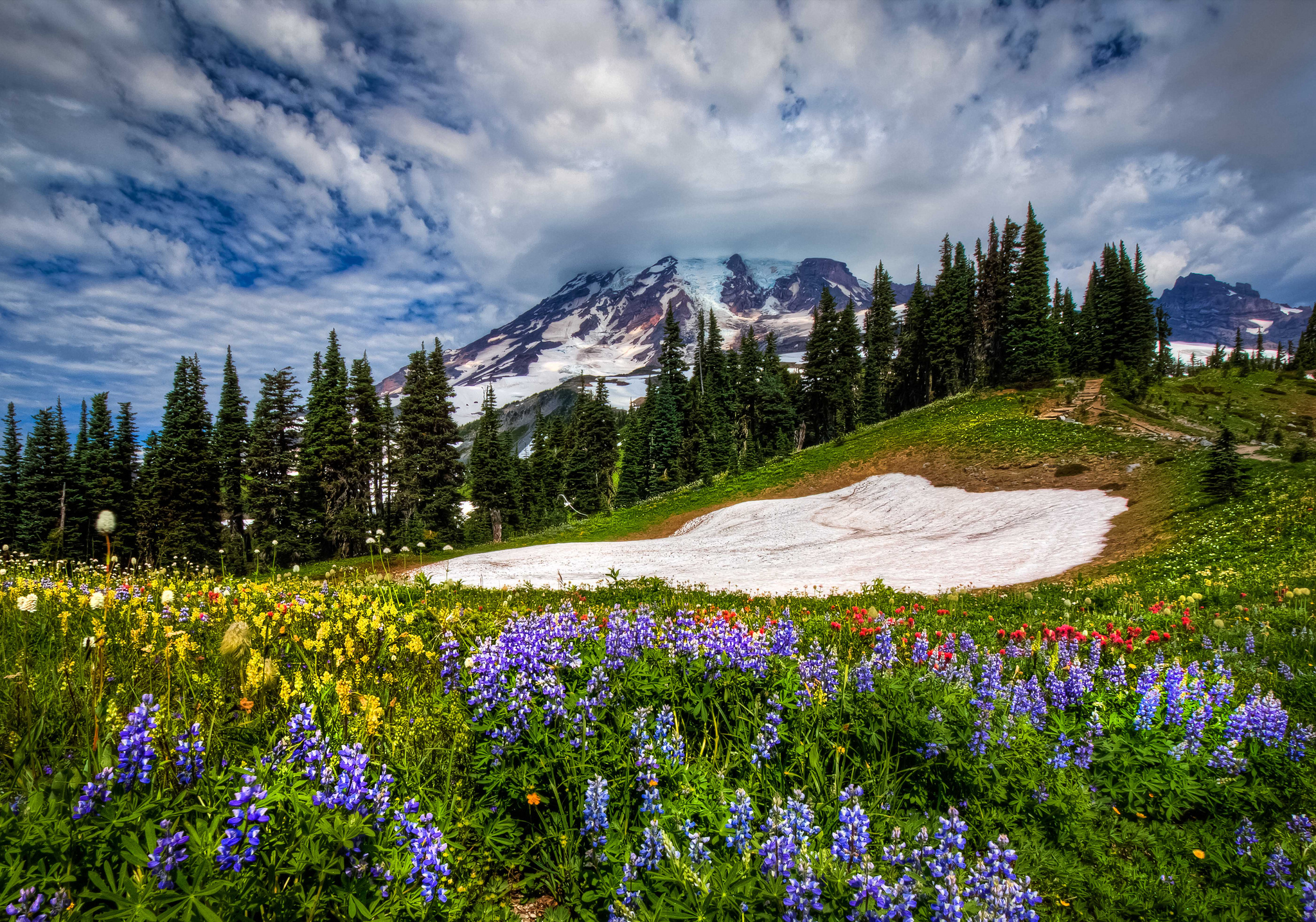 Mountain Landscape with Wildflowers and Snow Patch HD Wallpaper