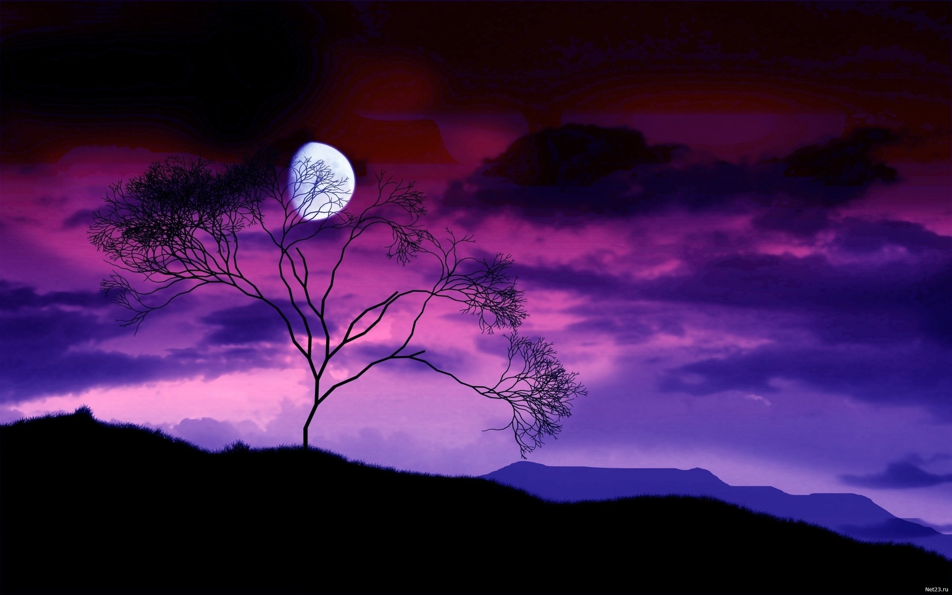 Bare tree under a purple moonlit sky HD Wallpaper