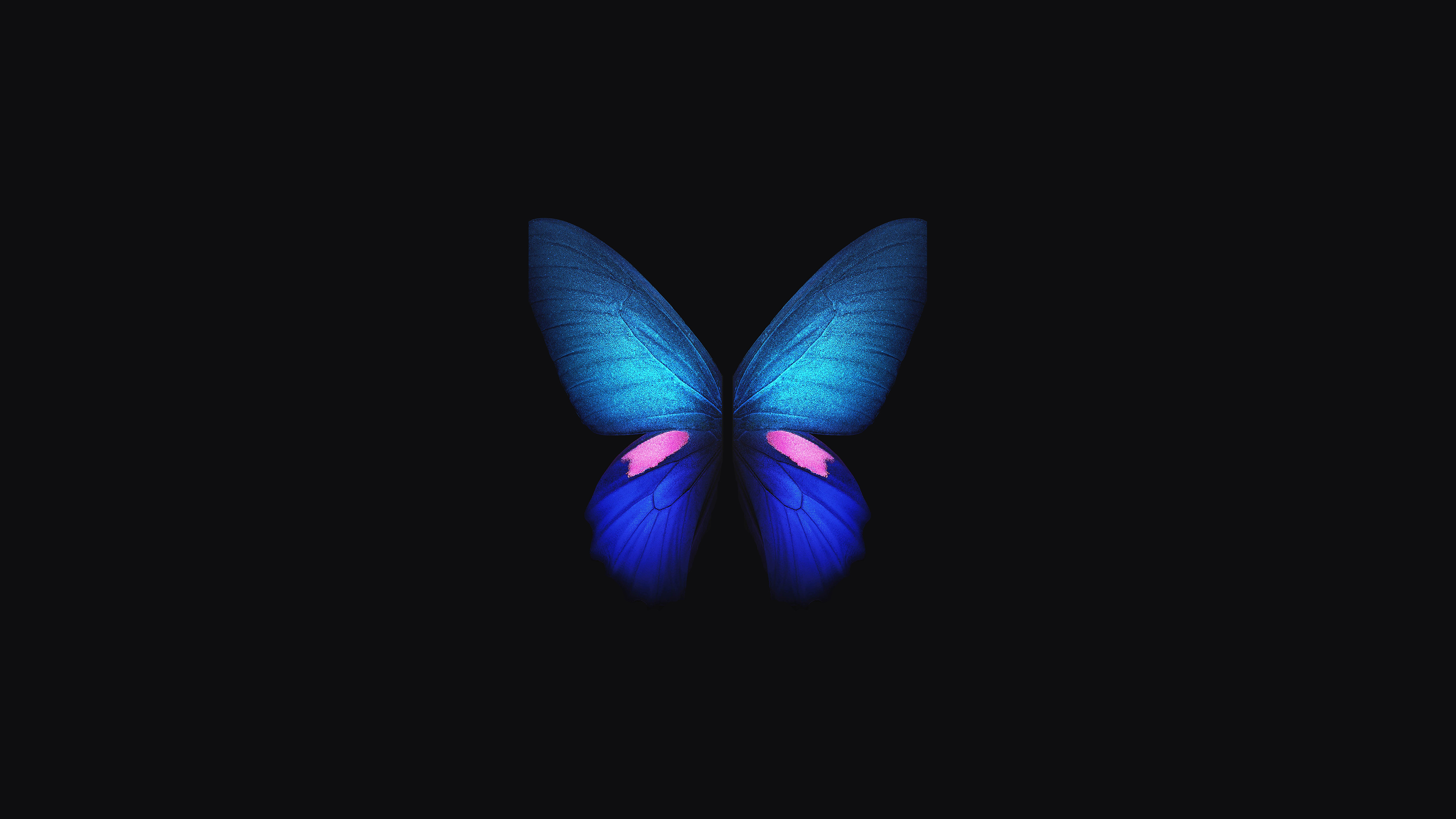 Samsung Galaxy Fold butterfly wallpaper 4K HD Wallpaper