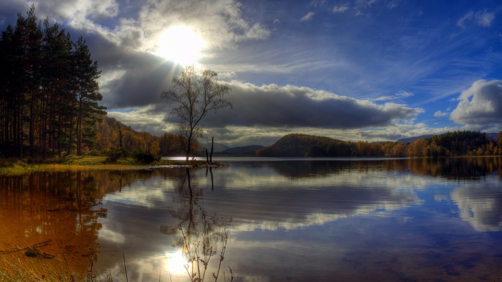 Lake reflection with trees and sunbeams HD Wallpaper