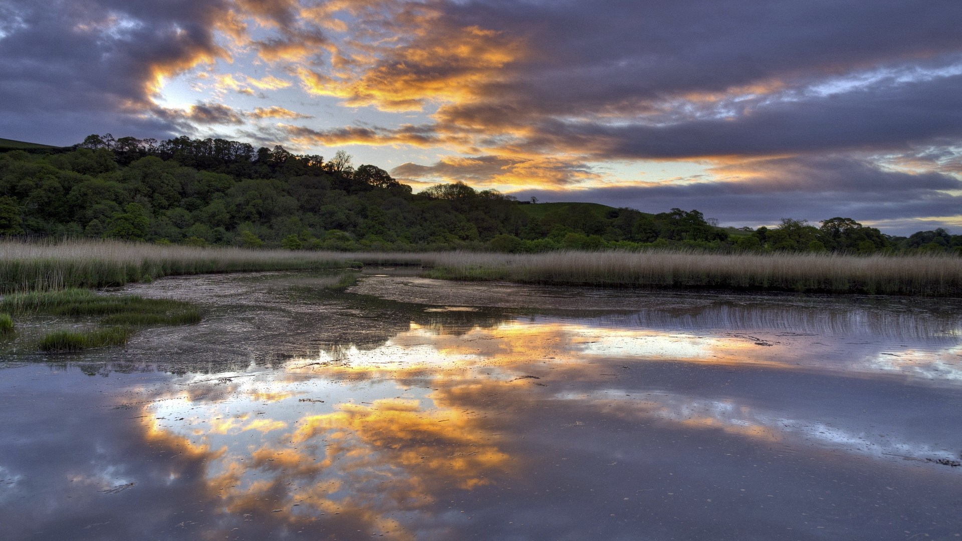 Sunset over a marshy lake with reflections HD Wallpaper