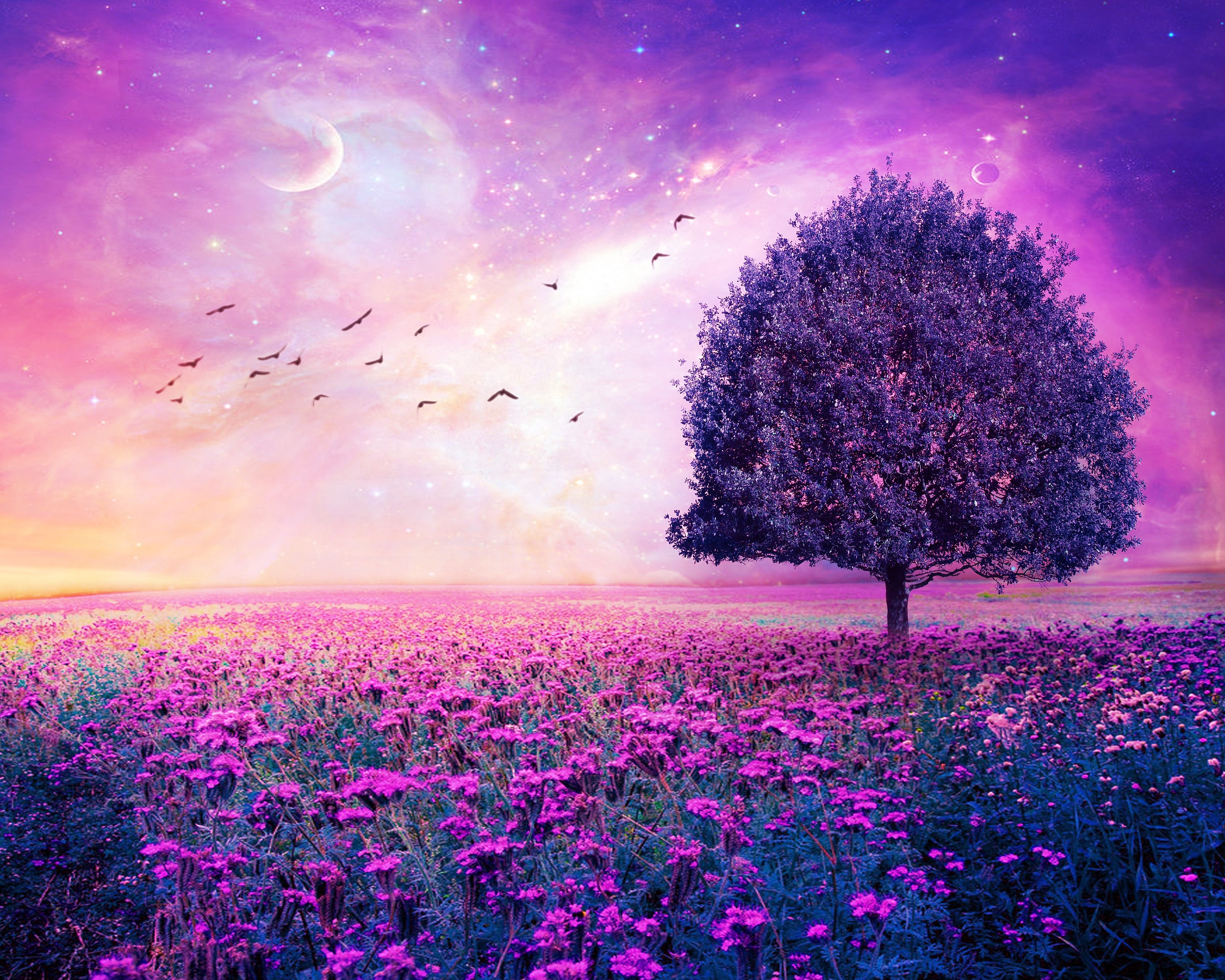 Purple Tree in a Magical Flower Field Under Starry Sky HD Wallpaper