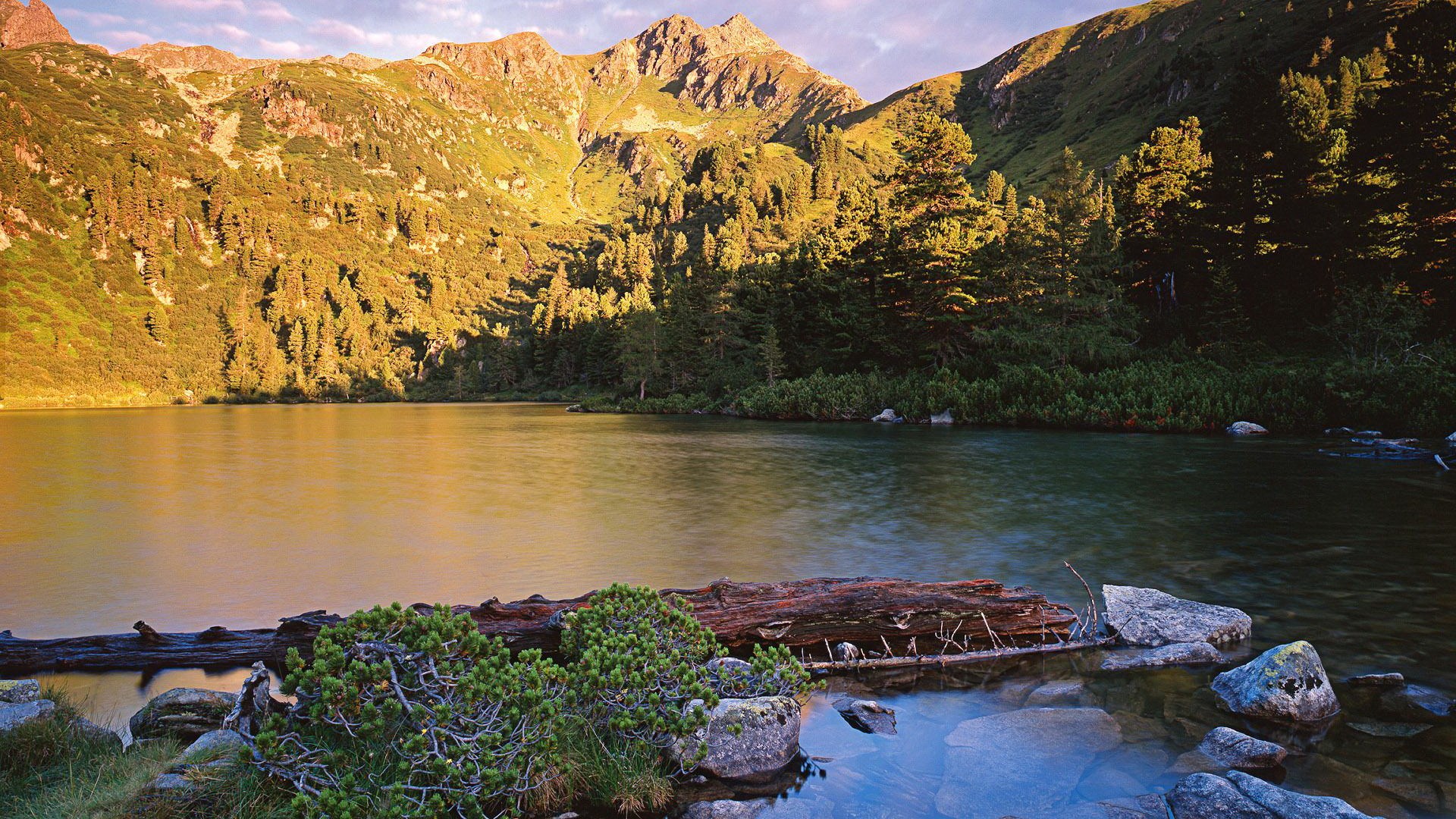 Mountain lake with trees and rocks HD Wallpaper