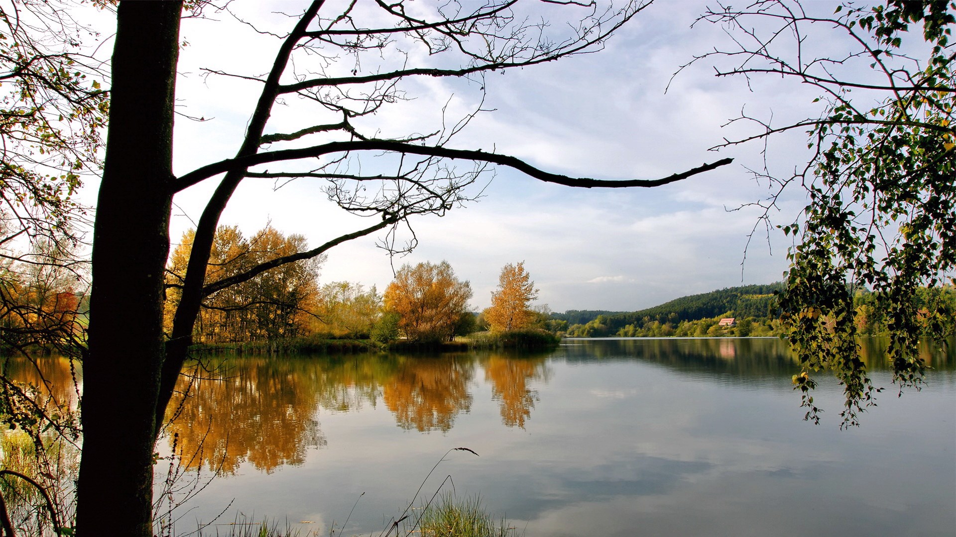 Autumn trees reflected in a calm lake HD Wallpaper