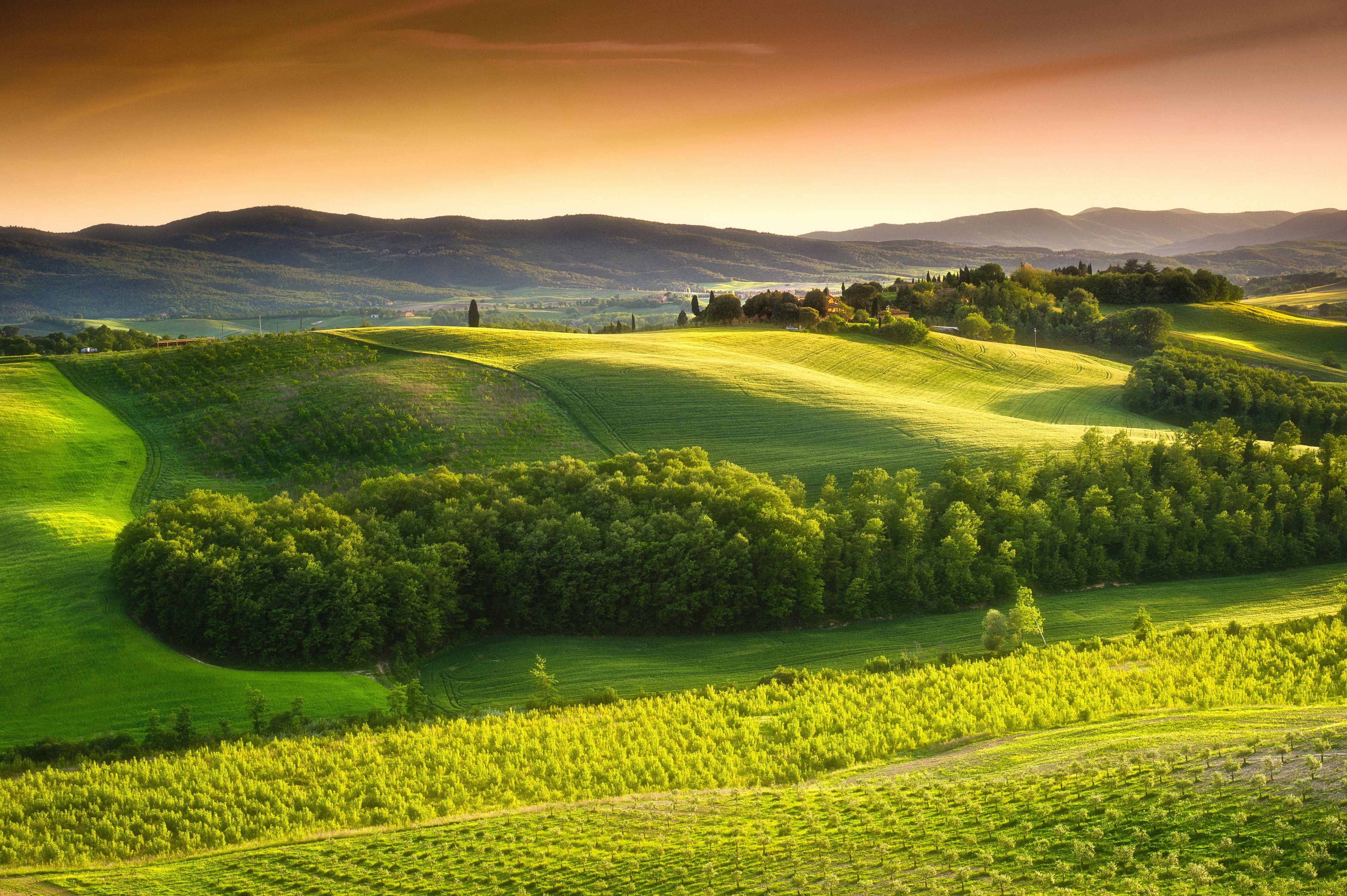 Rolling green hills and fields in Tuscany, Italy HD Wallpaper