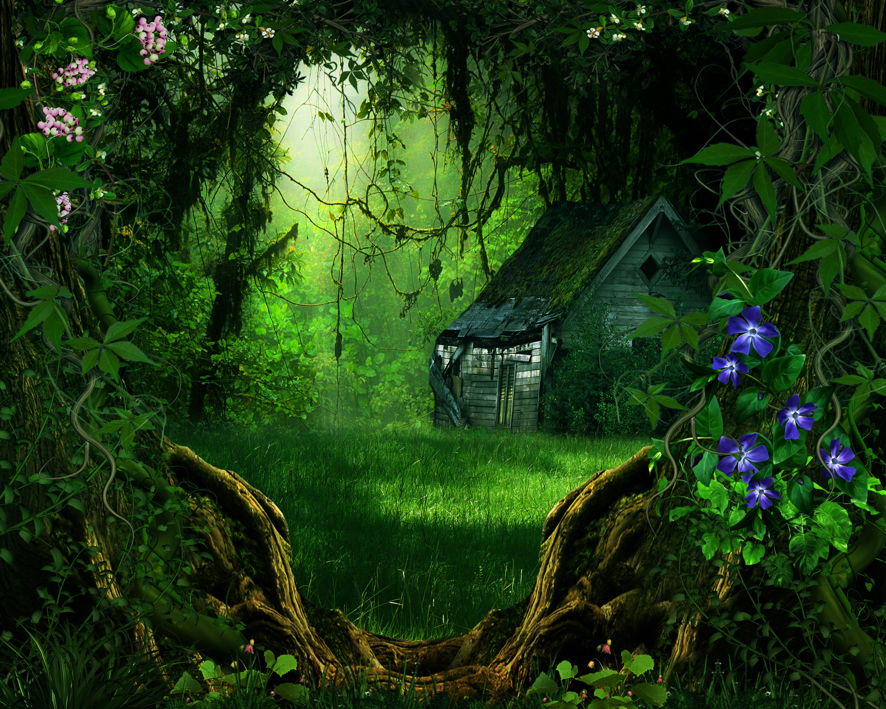 Abandoned cabin in a dense, overgrown forest with flowers HD Wallpaper