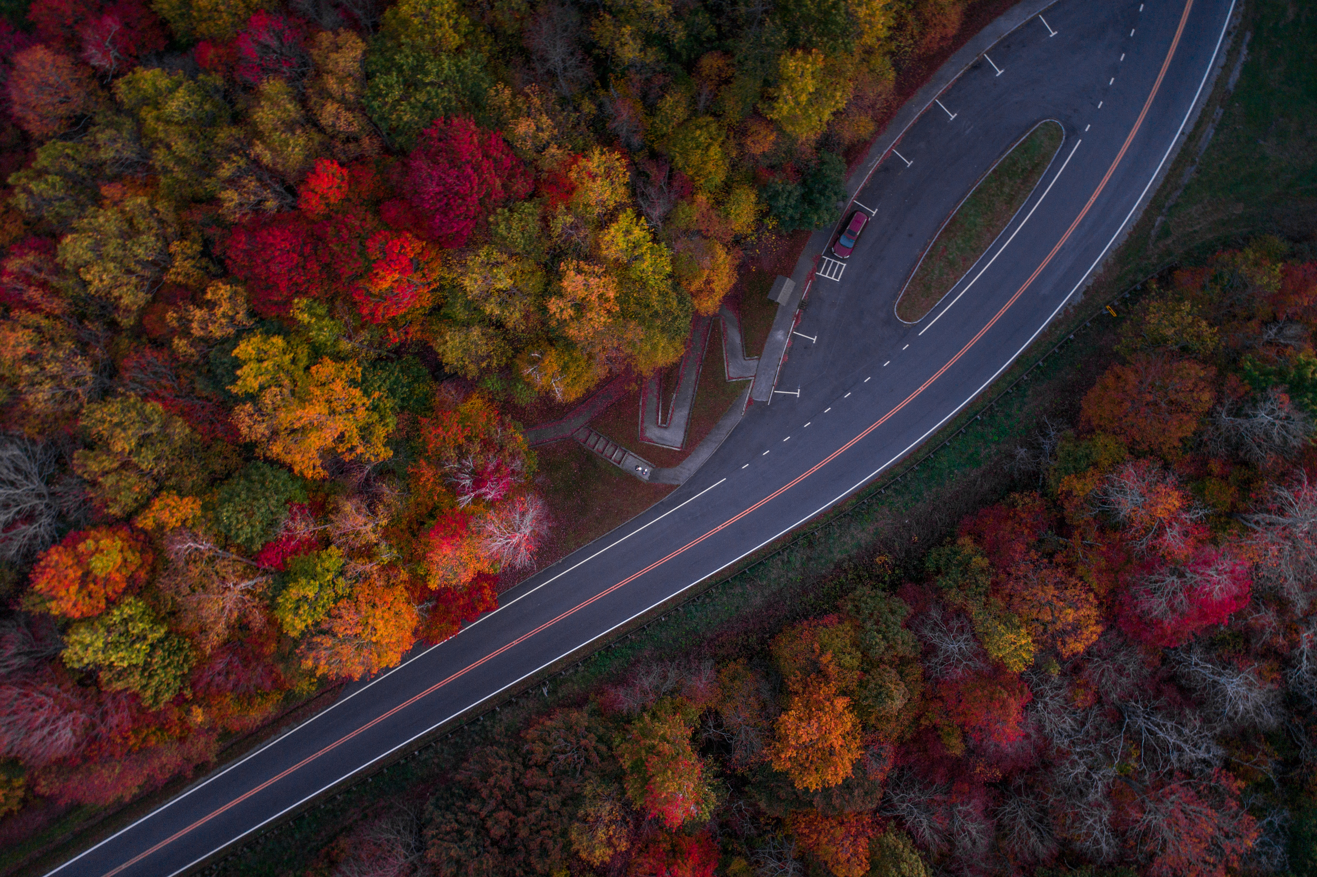 Aerial view of a road through autumn forest foliage HD Wallpaper