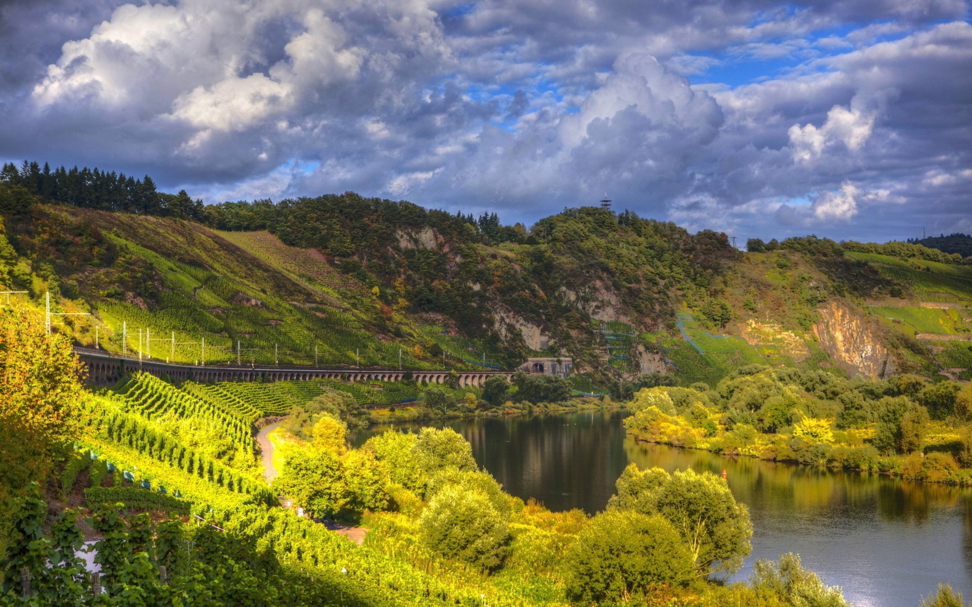 River valley with vineyards and train tracks HD Wallpaper