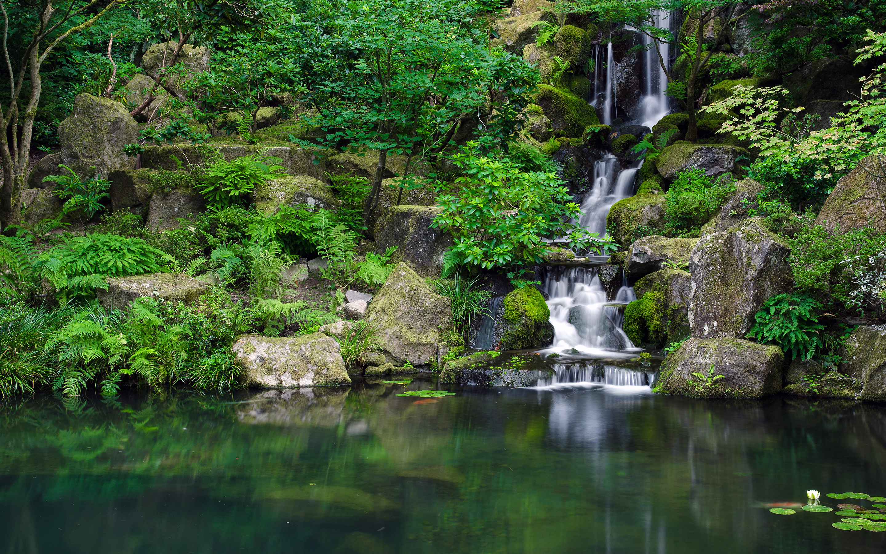 Waterfall cascading into a pond in a forest HD Wallpaper