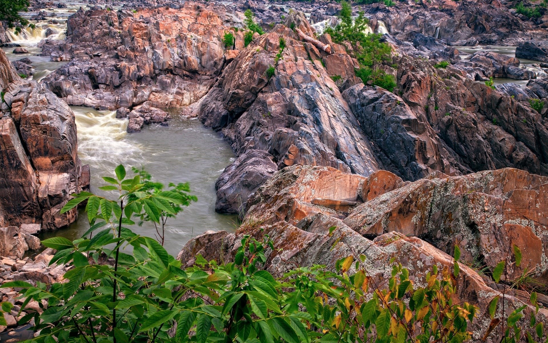 River flowing through rocky gorge with green foliage HD Wallpaper