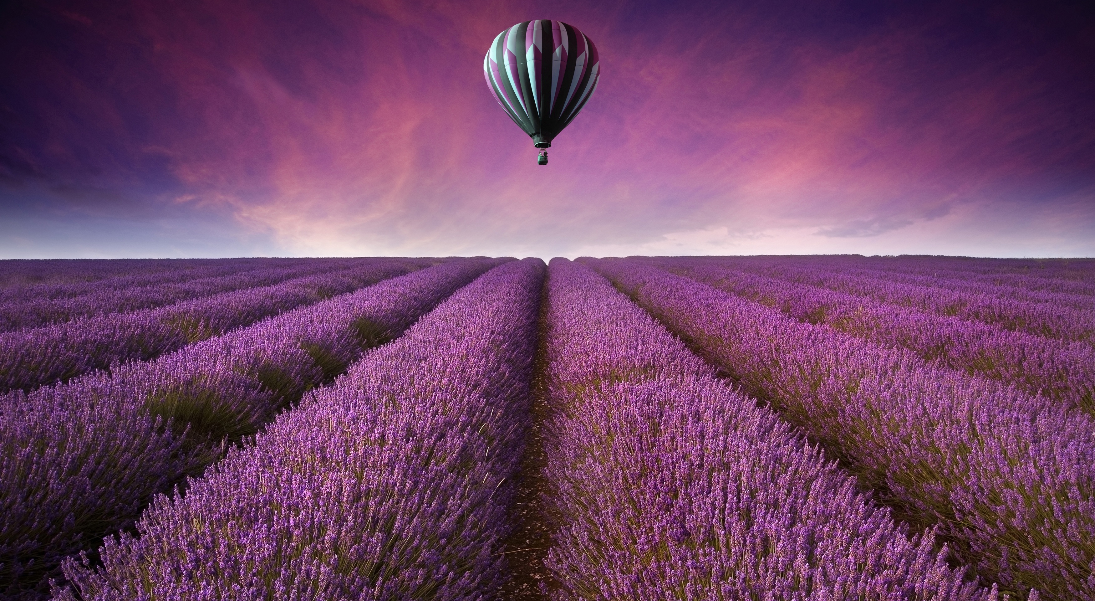 Hot Air Balloon Over Lavender Field at Sunset HD Wallpaper