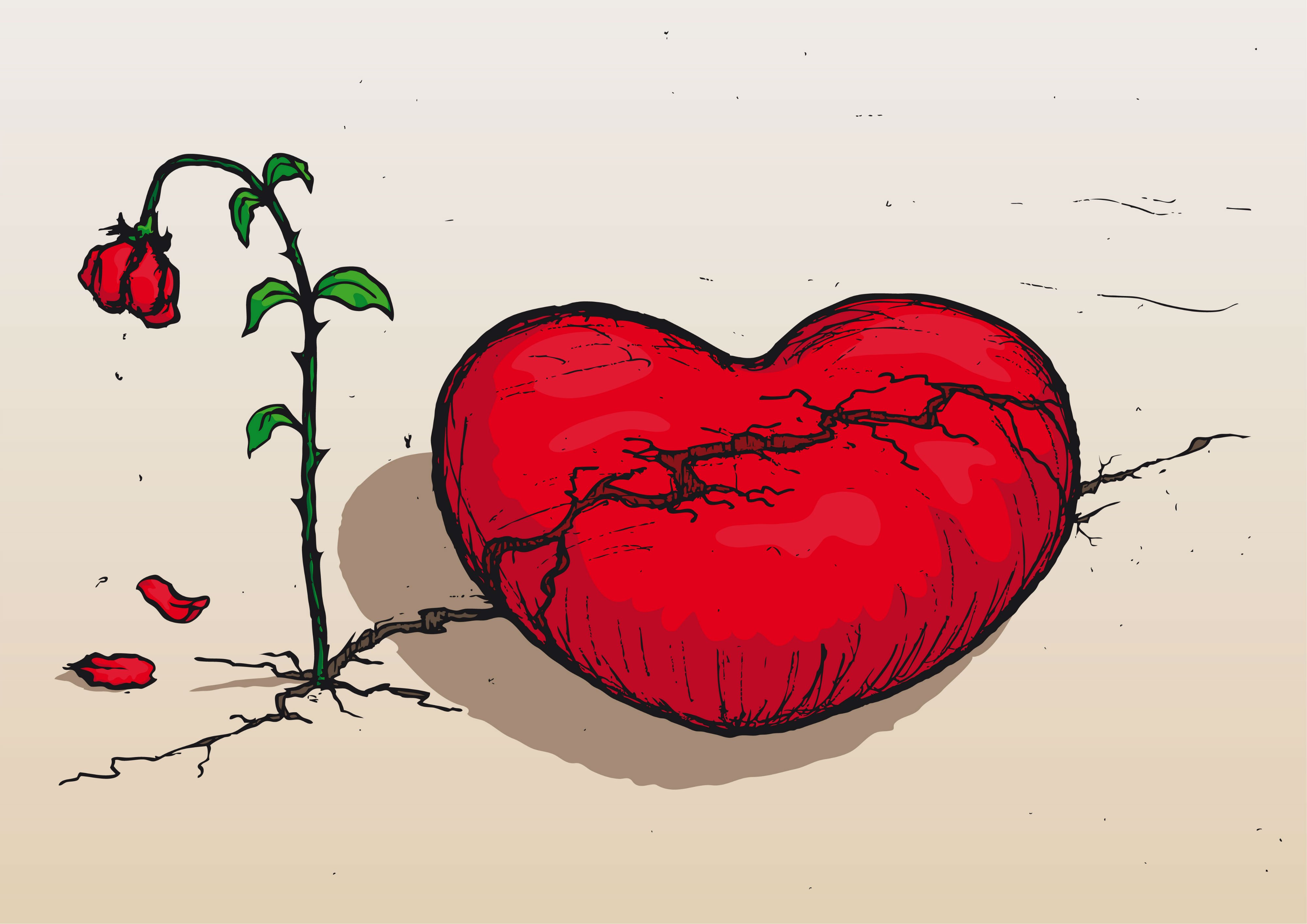 Broken heart with a wilting rose HD Wallpaper