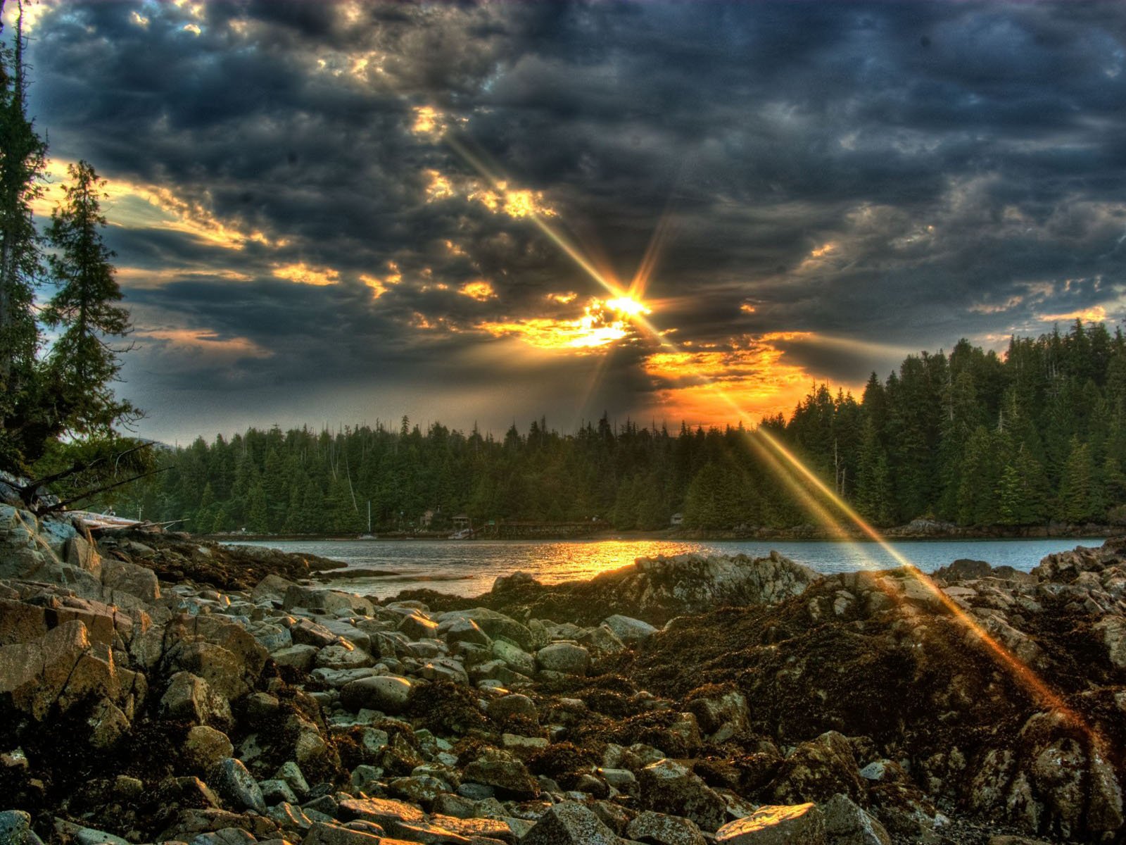 Sunbeams through clouds over a forest and rocky shore HD Wallpaper