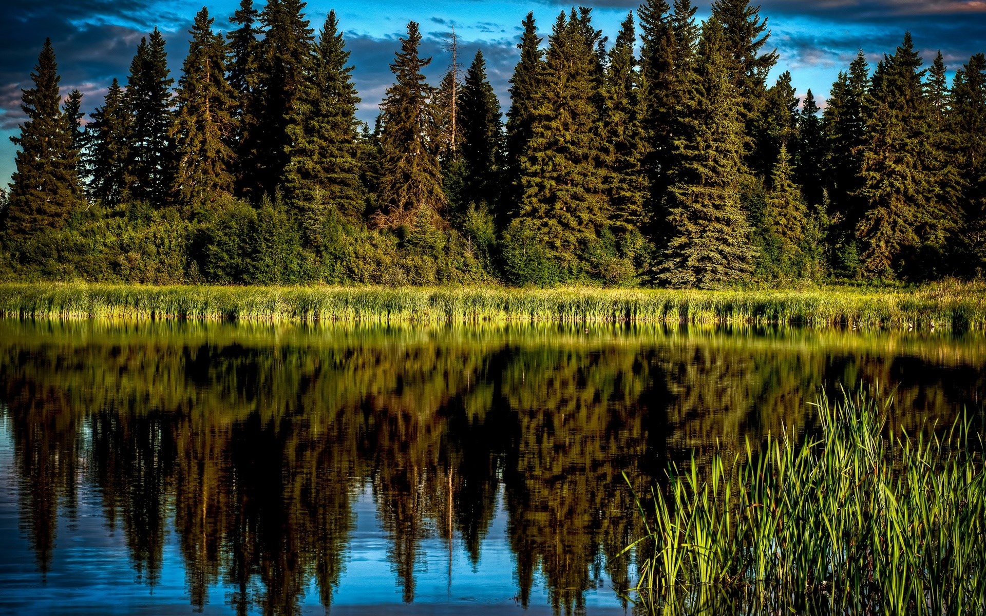Forest reflected in a calm lake at sunset HD Wallpaper
