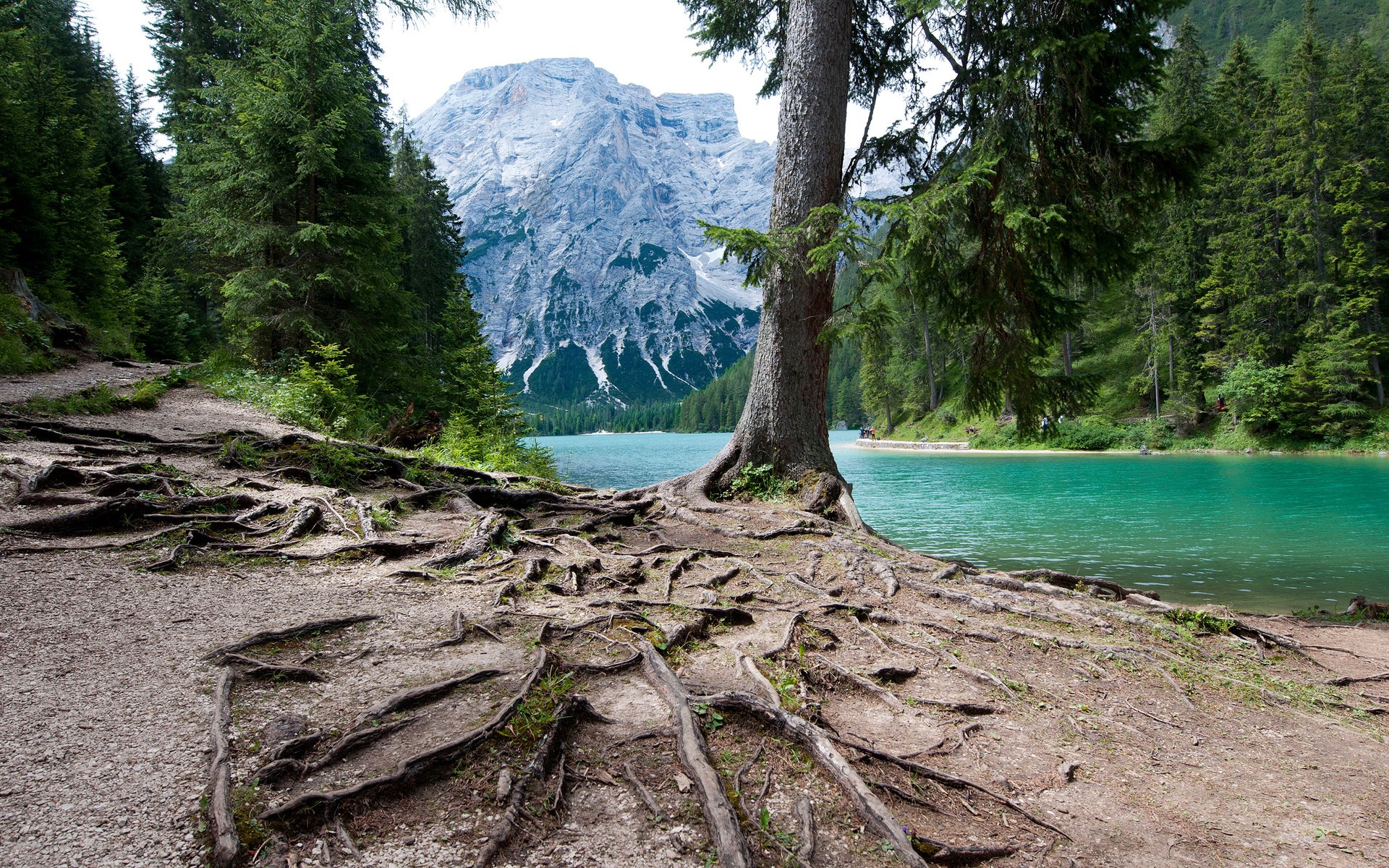 Lake with Mountains and Forest Path HD Wallpaper