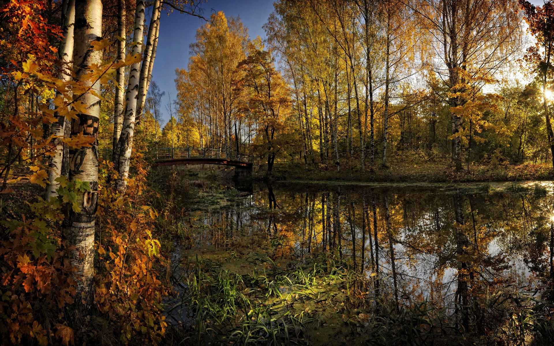 Autumn forest with a calm lake and a bridge HD Wallpaper