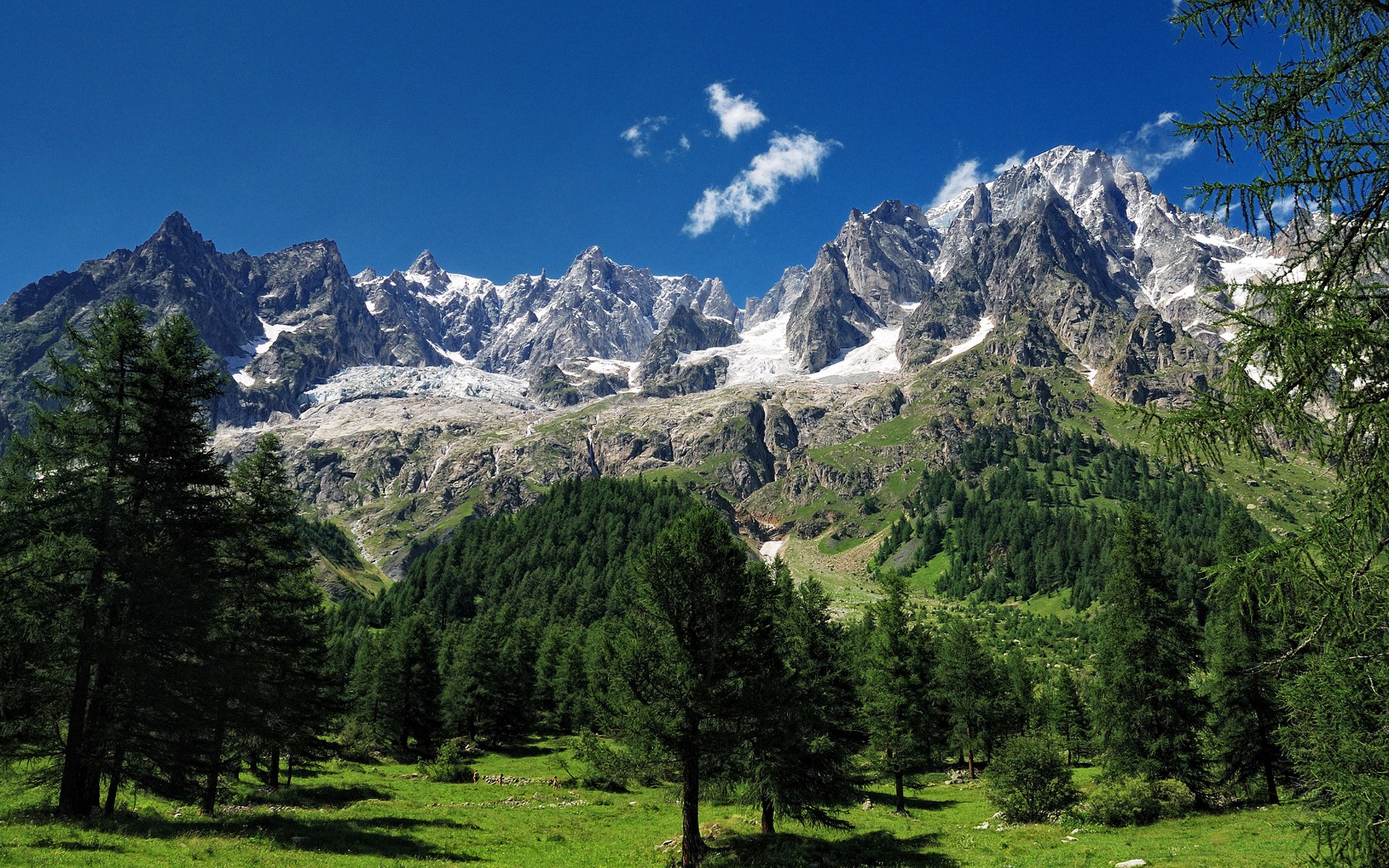 Snow-capped mountains and green forest under blue sky HD Wallpaper