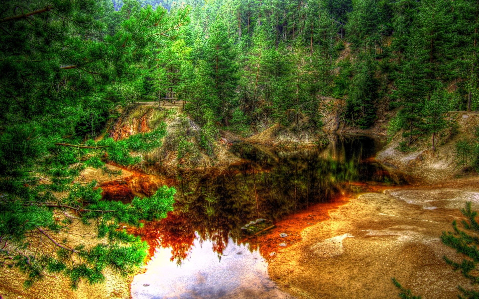 A forest lake with reddish-brown water and green trees HD Wallpaper