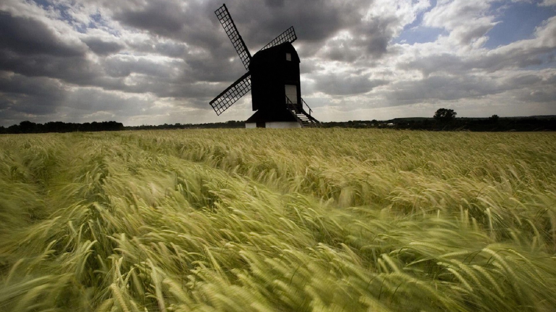 Windmill in a field of wheat under a cloudy sky HD Wallpaper