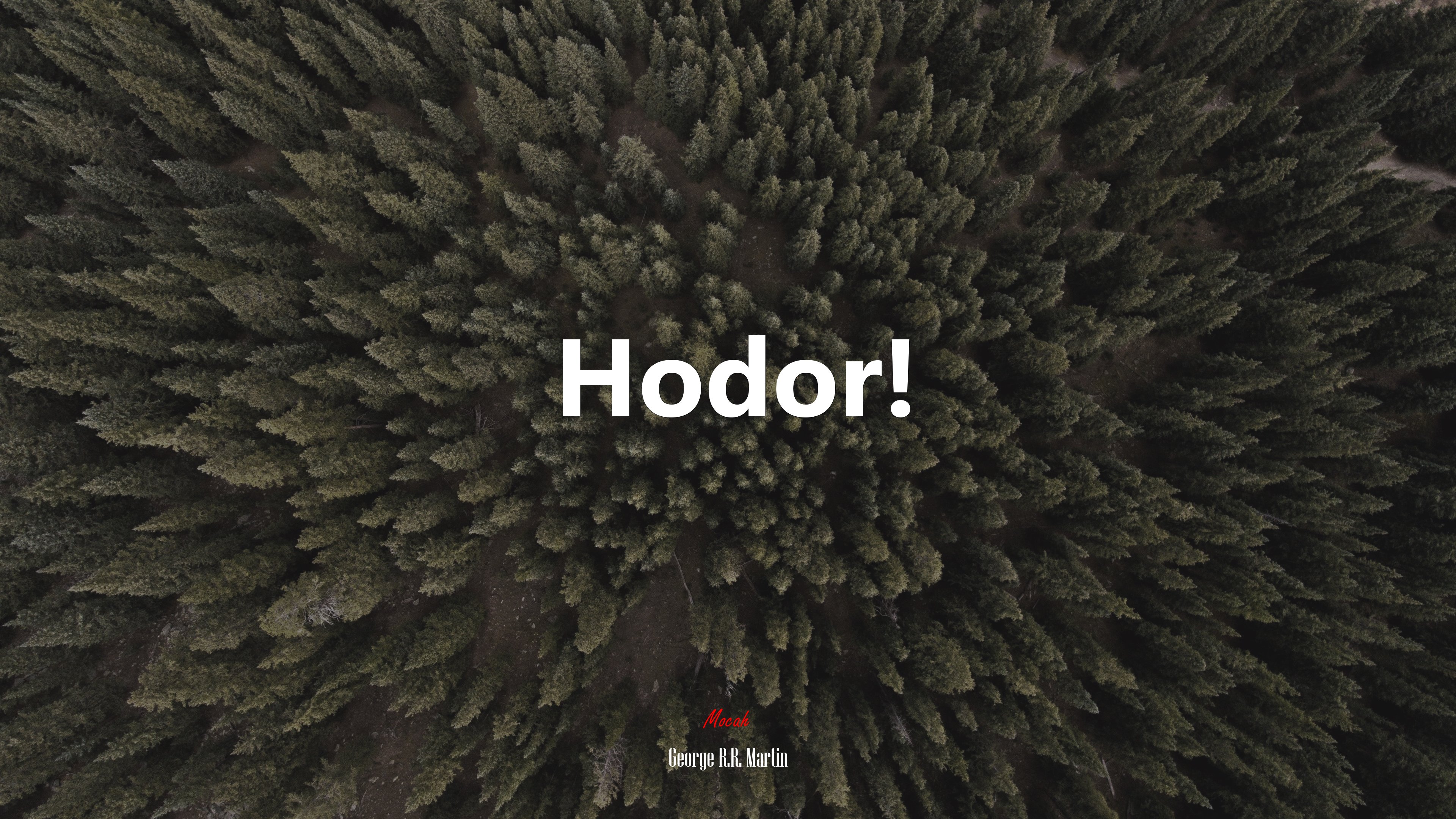 Hodor! | George R.R. Martin quote HD Wallpaper