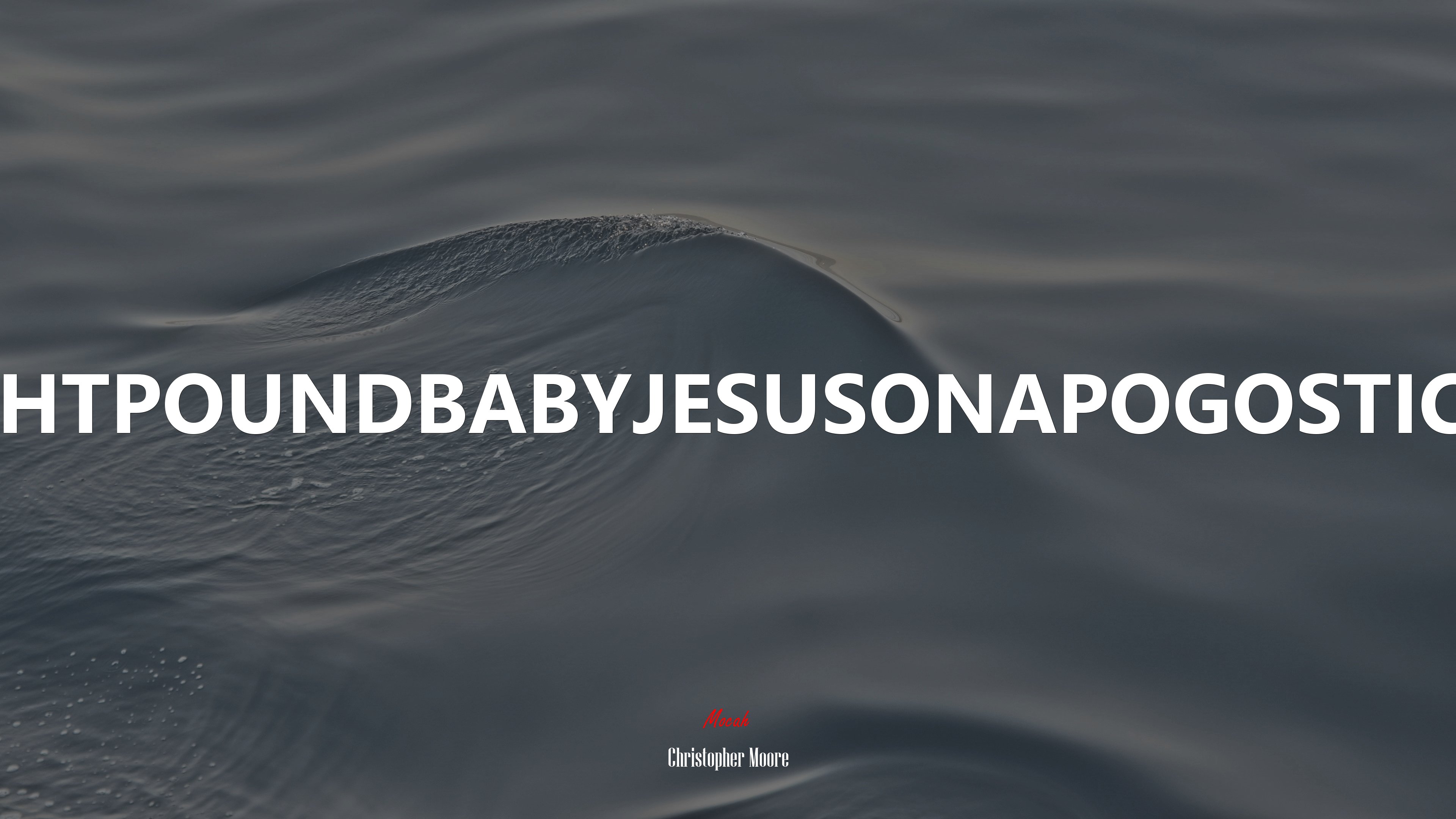 OMFGEIGHTPOUNDBABYJESUSONAPOGOSTICK WHAT? | Christopher Moore quote HD Wallpaper