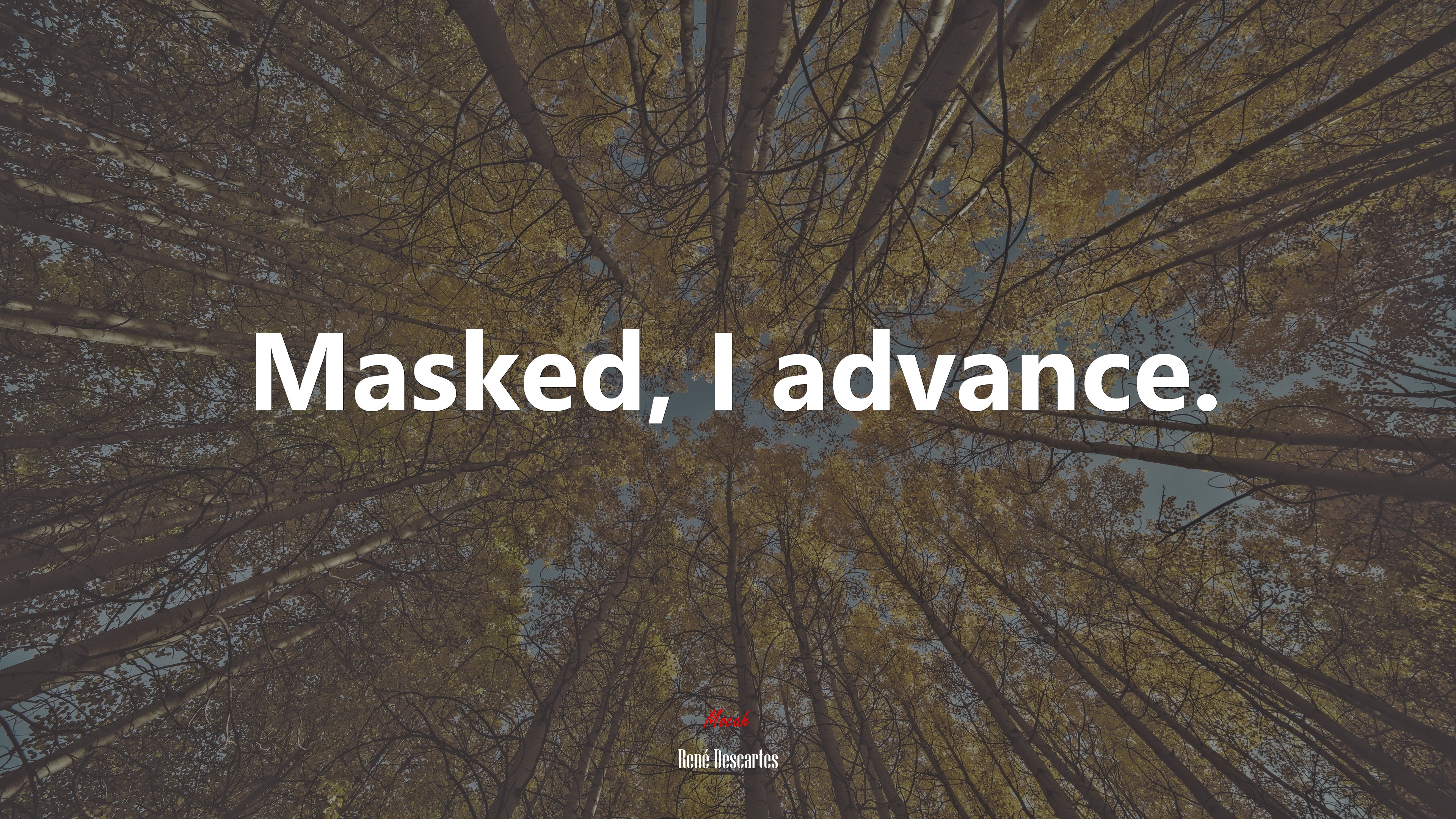 Masked, I advance. | René Descartes quote HD Wallpaper