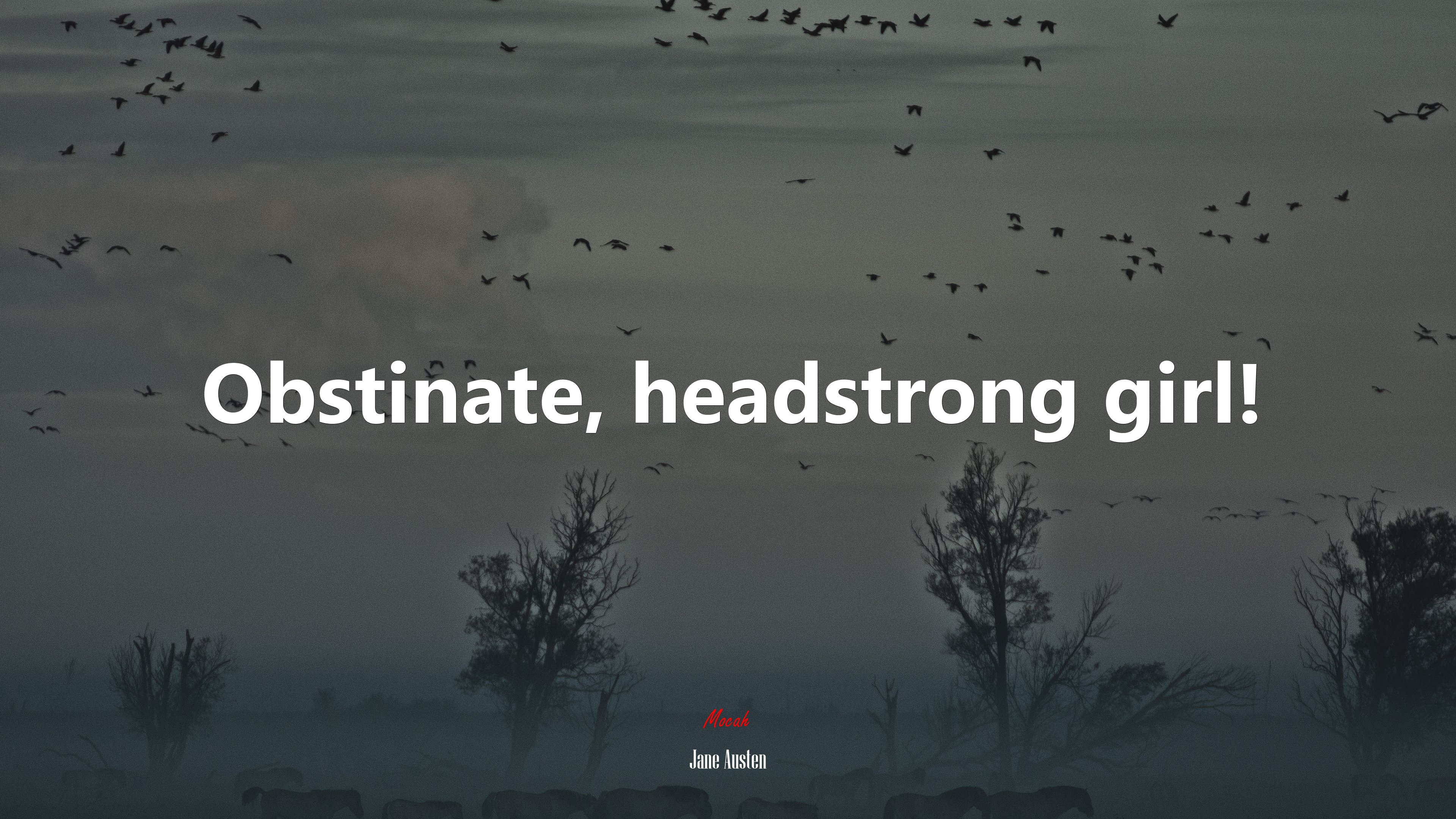 Obstinate, headstrong girl! | Jane Austen quote HD Wallpaper
