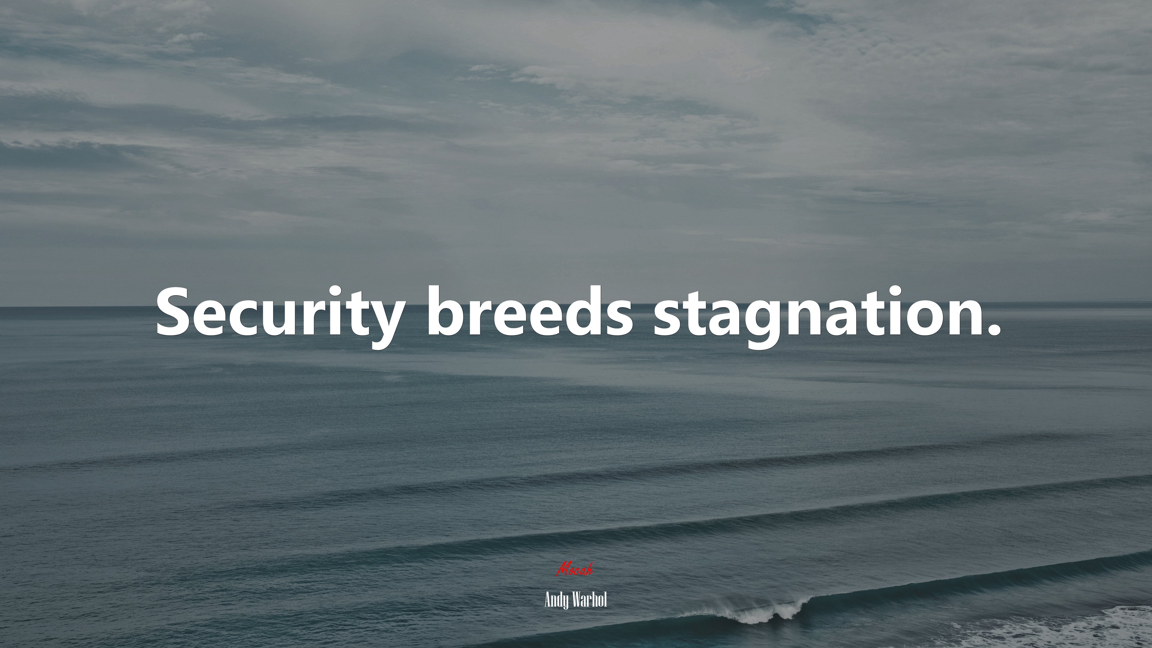 Security breeds stagnation. | Andy Warhol quote HD Wallpaper