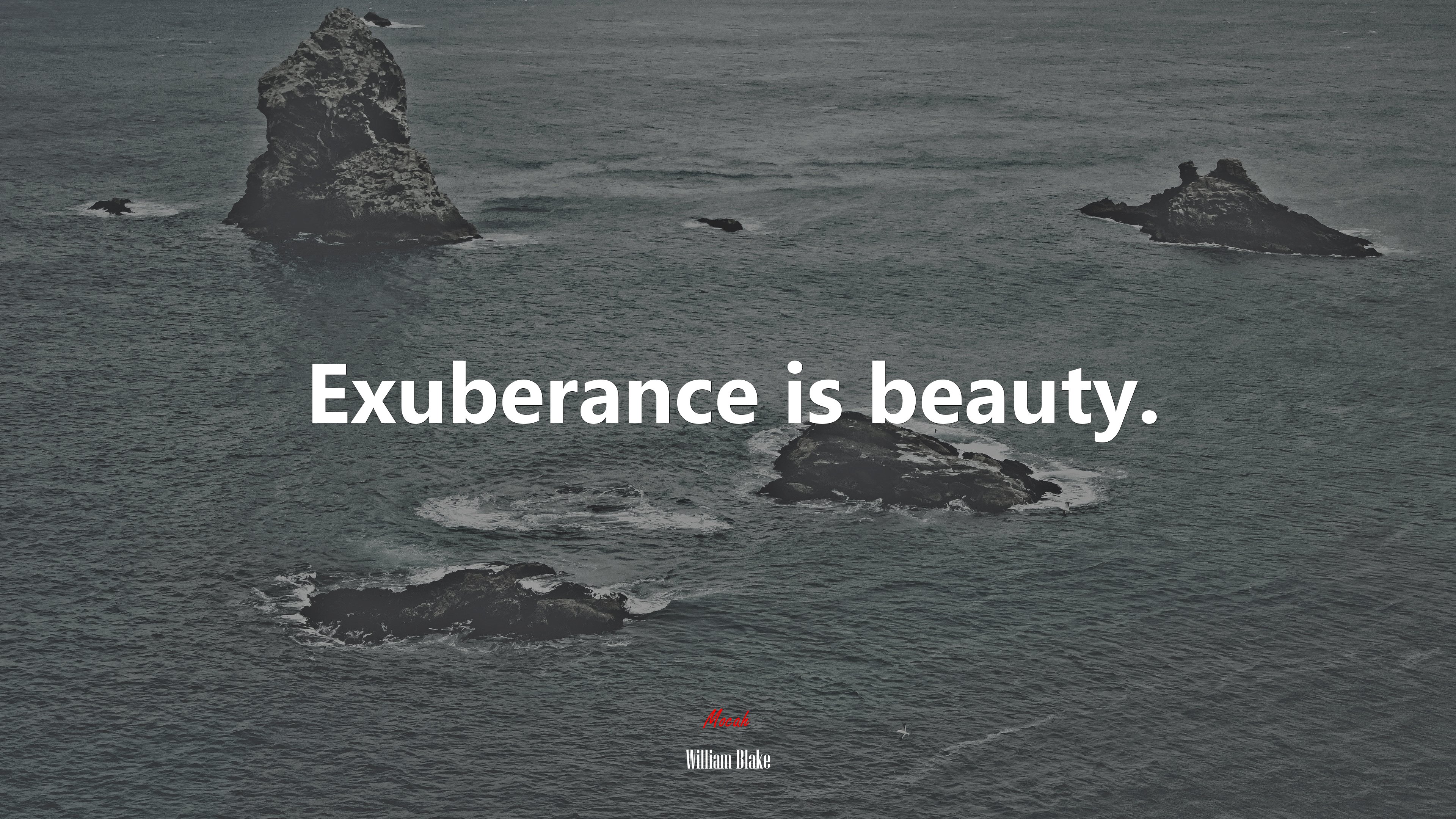 Exuberance is beauty. | William Blake quote HD Wallpaper