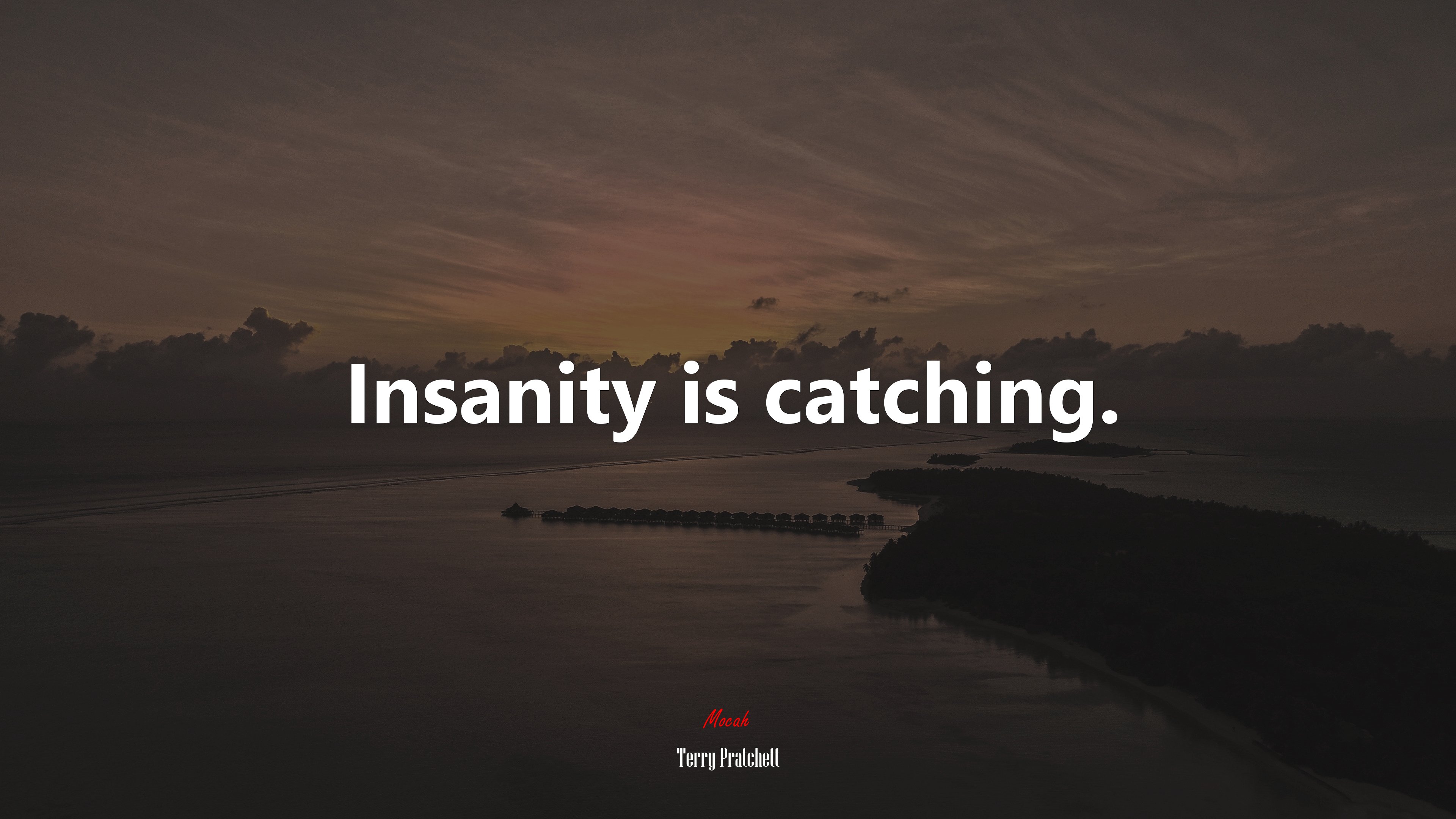 Insanity is catching. | Terry Pratchett quote HD Wallpaper