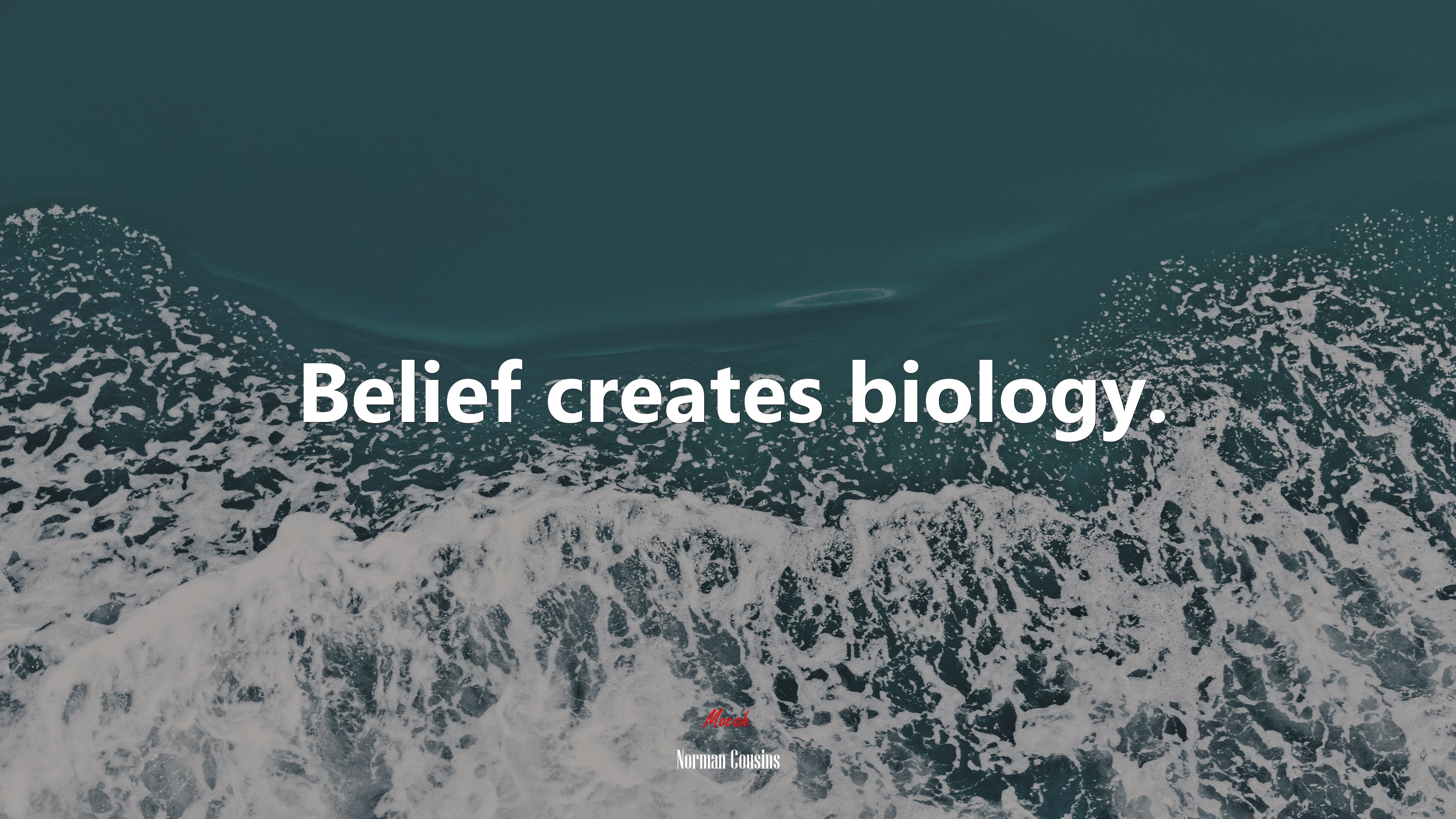 Belief creates biology. | Norman Cousins quote HD Wallpaper