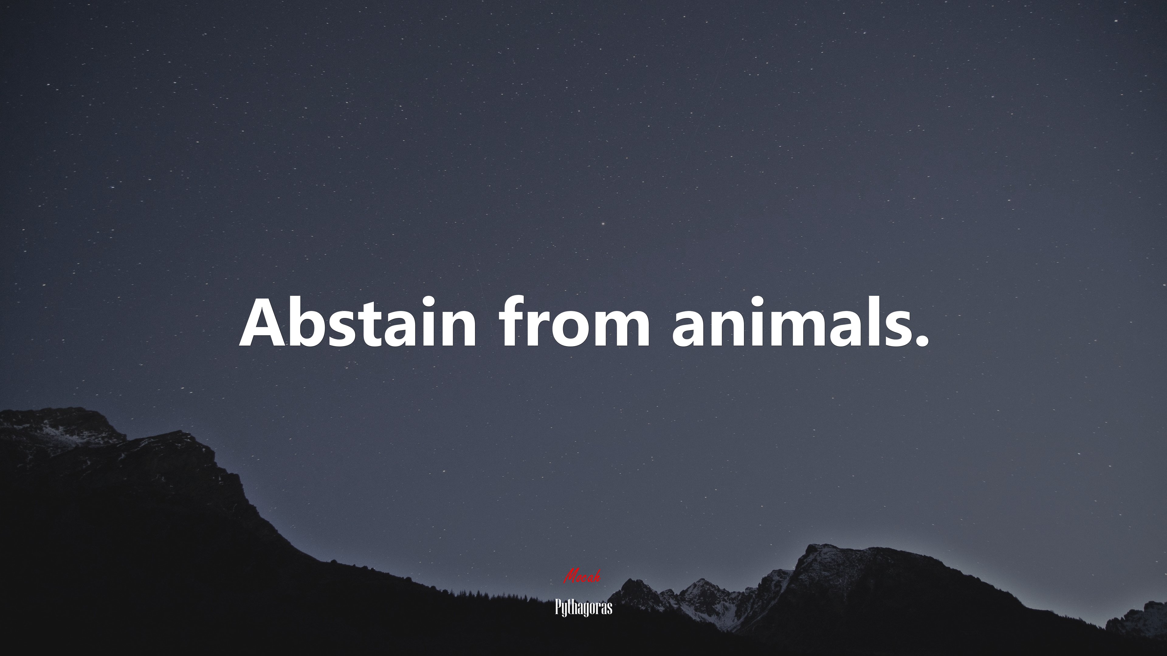 Abstain from animals. | Pythagoras quote HD Wallpaper