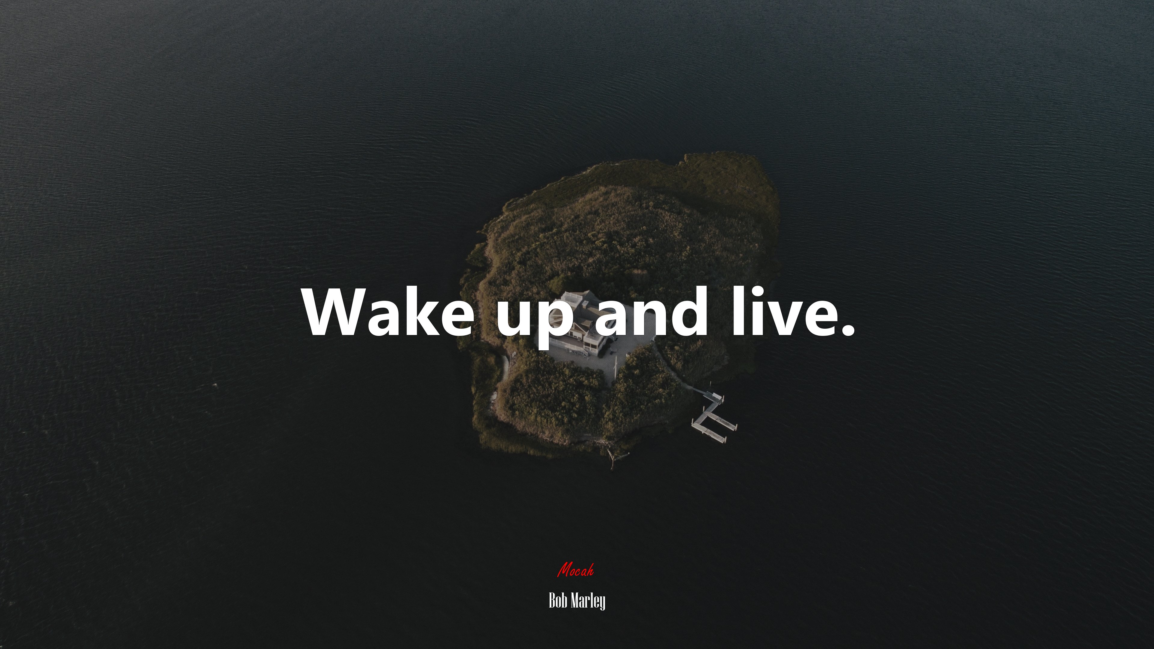 Wake up and live. | Bob Marley quote HD Wallpaper