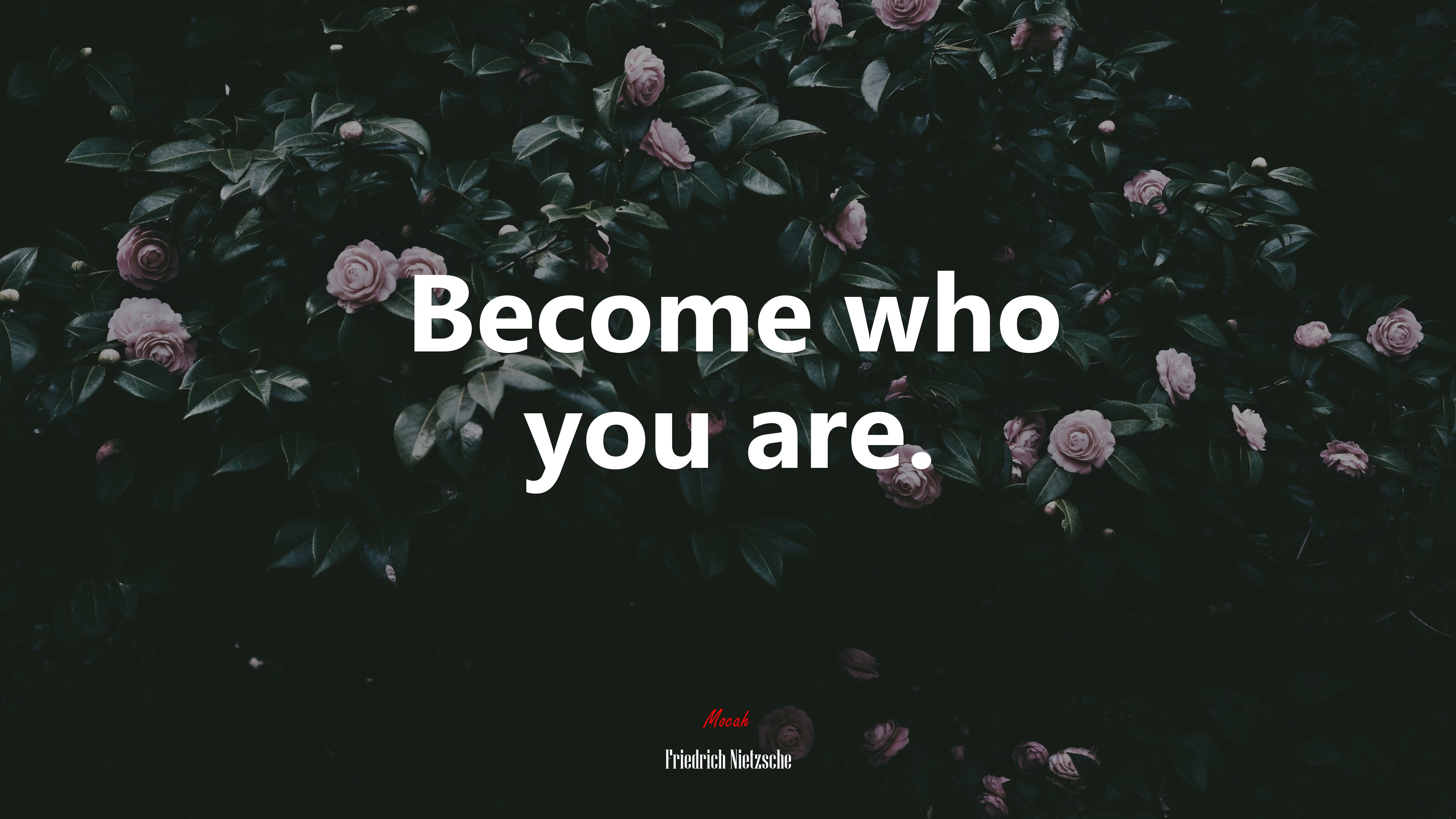 Become who you are. | Friedrich Nietzsche quote HD Wallpaper