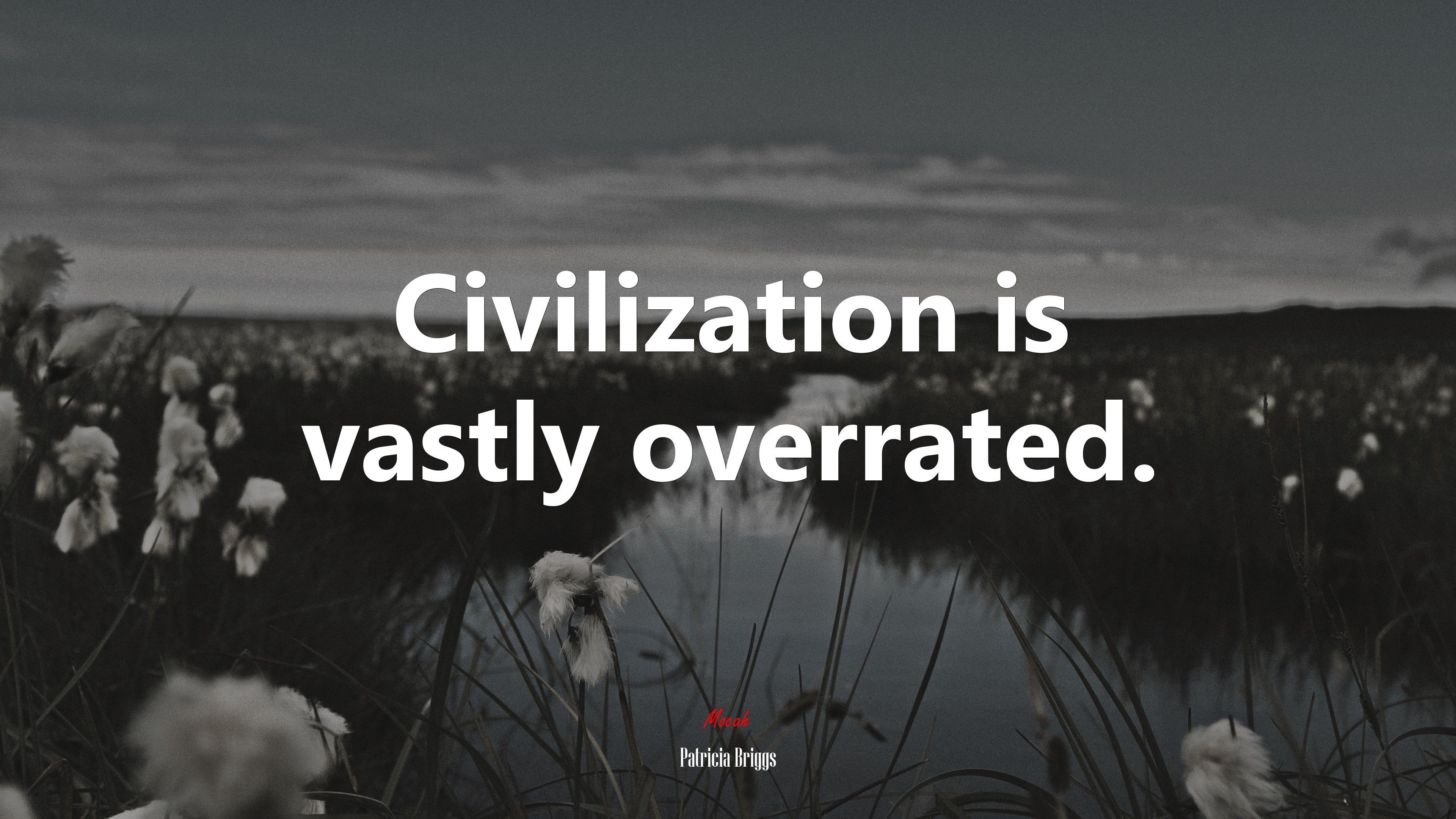 Civilization is vastly overrated. | Patricia Briggs quote HD Wallpaper
