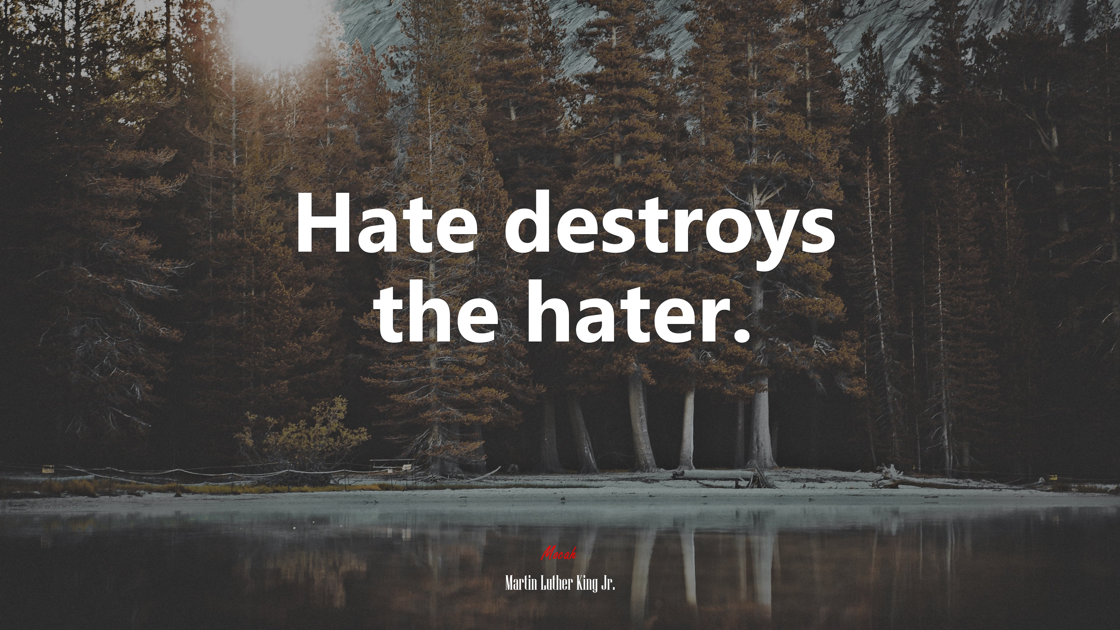 Hate destroys the hater. | Martin Luther King Jr. quote HD Wallpaper