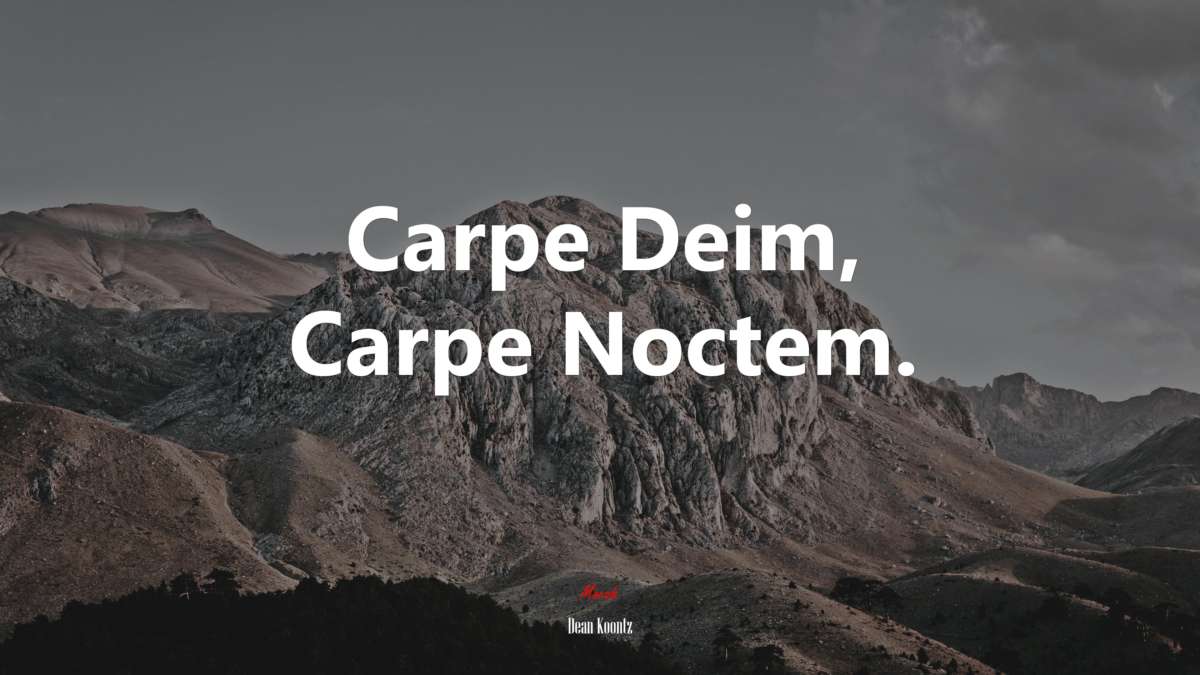 Carpe Deim, Carpe Noctem. | Dean Koontz quote HD Wallpaper