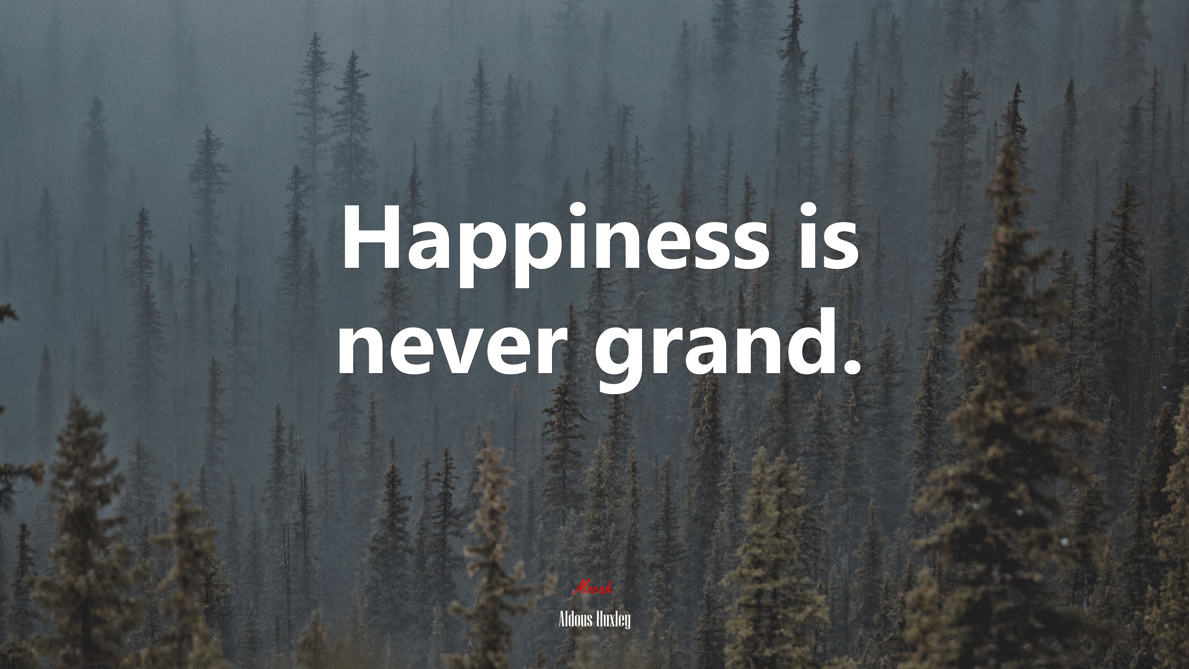 Happiness is never grand. | Aldous Huxley quote HD Wallpaper